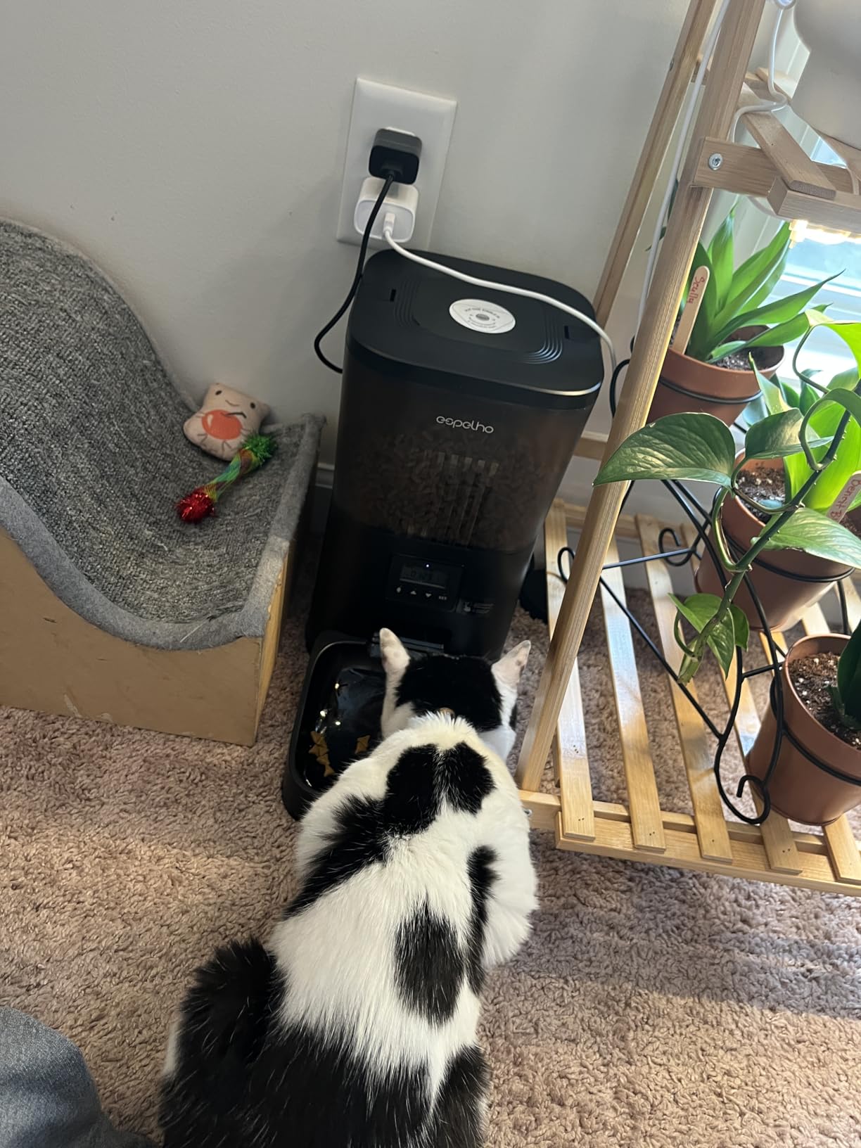 Espelho Automatic Cat Feeder- 4L Timed Cat Food Dispenser 1-6 Meals Control for Cat and Small Dog- Auto Pet Feeder with Desiccant Bag Keep Fresh for Reliable Easy Set Up and Clean- Voice Recorder customer photo 2