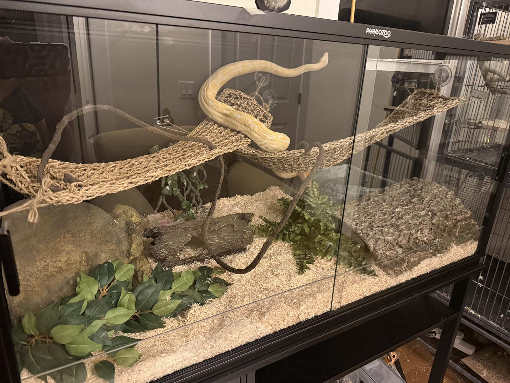 Phailozoo 120 Gallon Bearded Dragon Tank, 48
