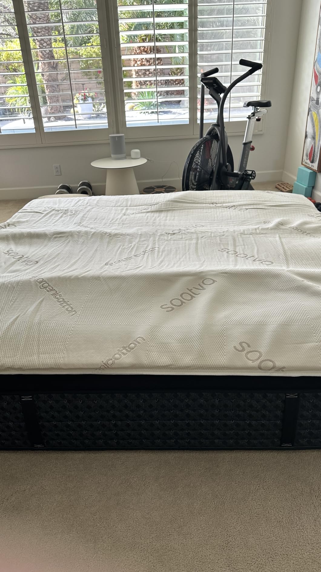 Saatva Natural Latex Mattress Topper - 1.5