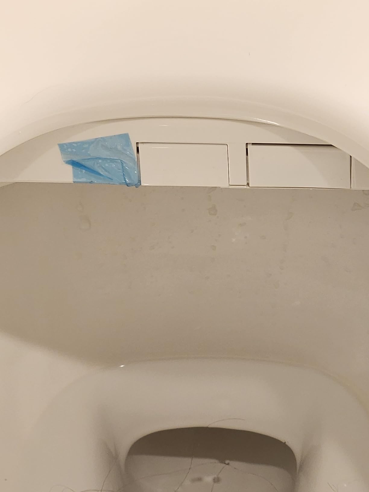 iliD Bidet Seat, Toilet Seat, Electric Elongated Ecoseat with Four Cleaning Modes, Adjustable Angle and Pressure, Remote Control, Slow Close Lid, Easy Installation, 2 Year Warranty customer photo 1