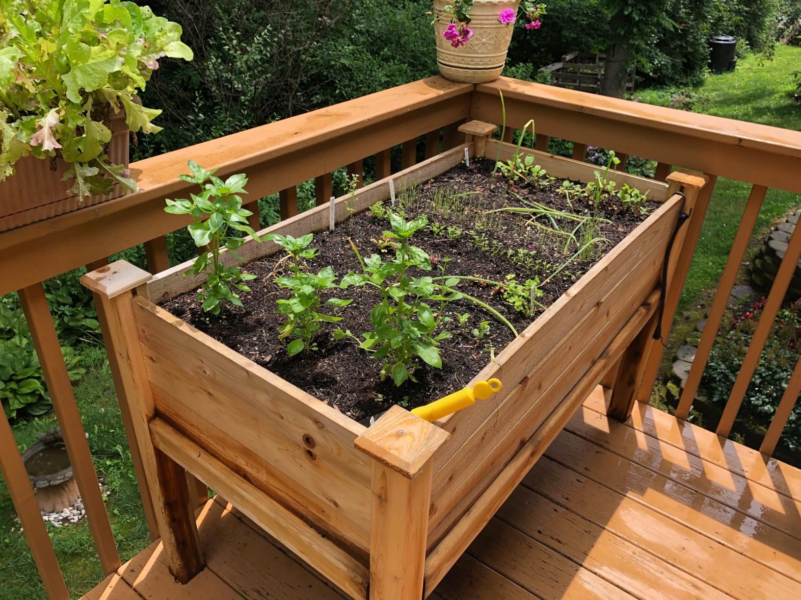 Greenes Fence Original Cedar Elevated Garden Bed, 24