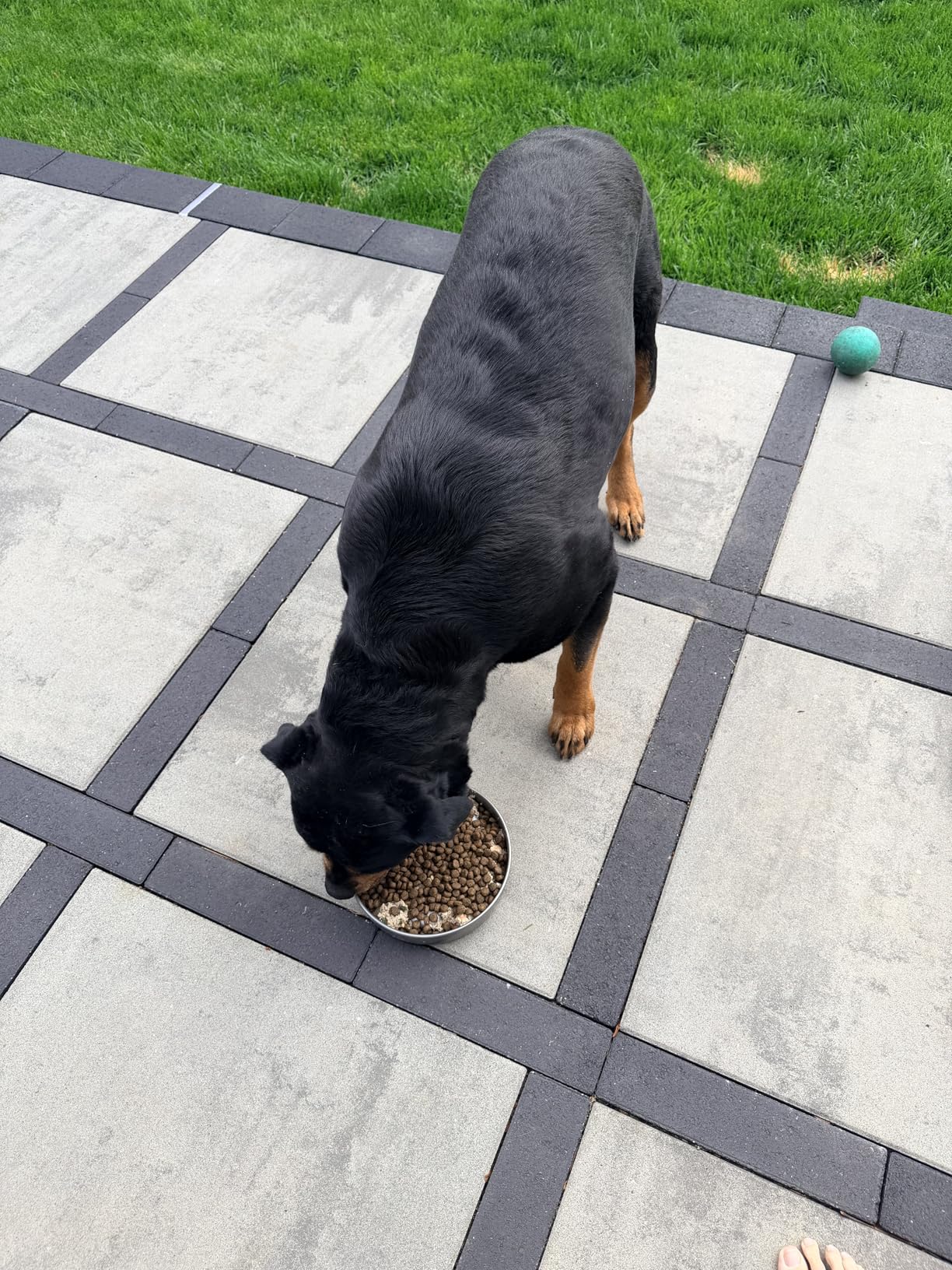 Slow Feeder Dog Bowl-2Cups for Medium Breeds, Double Wall Food-Grade Stainless Steel, Heavy Duty with Non-Slip Rubber Base, Puzzle Maze Bowl to Slow Down Eating customer photo 2