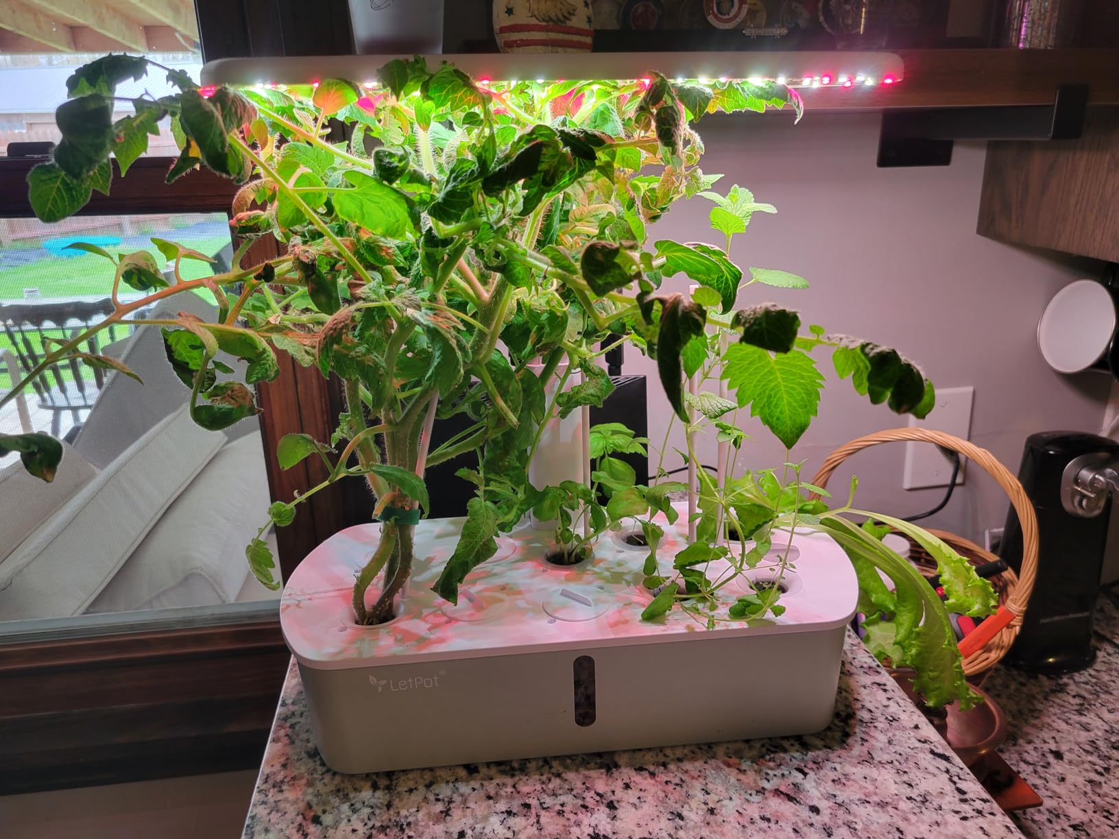 LetPot LPH-Air Hydroponics Growing System Kits, APP & WiFi Controlled Smart Indoor Garden with Adjustable 24W Grow Light, 10 Pods customer photo 1