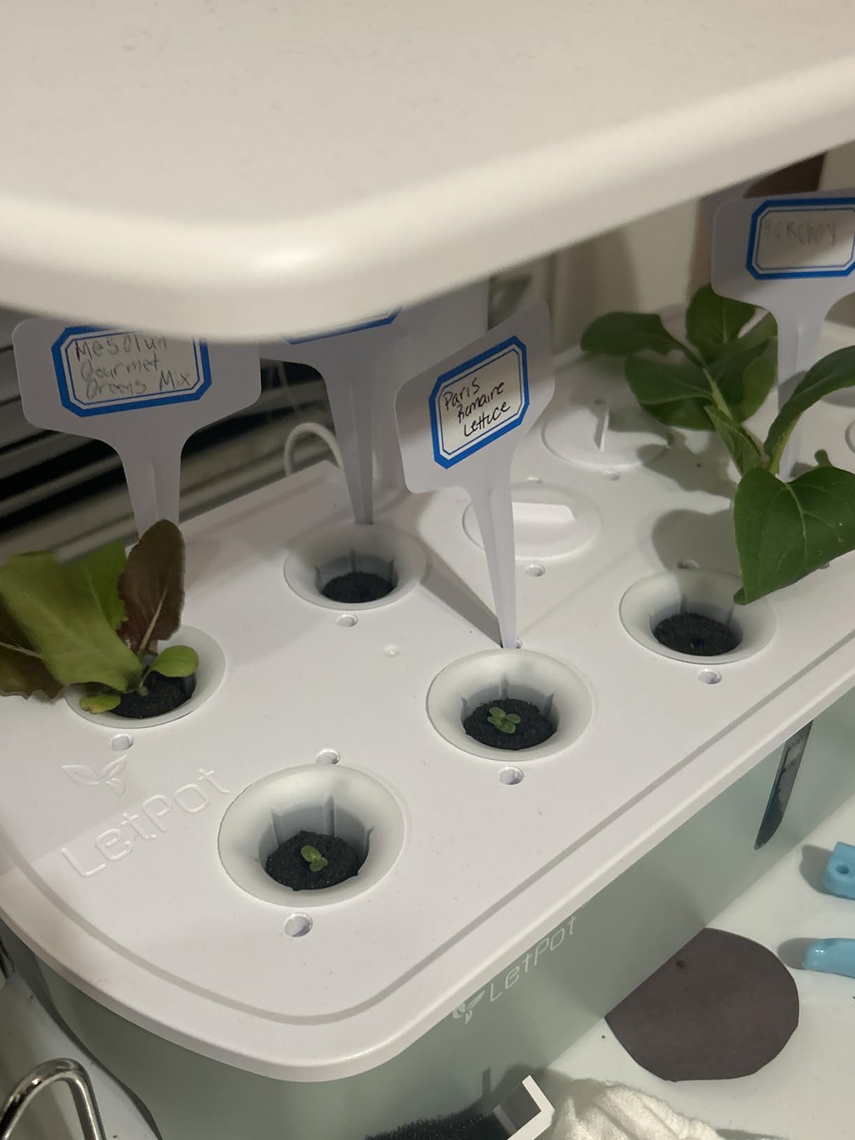 LetPot LPH-Air Hydroponics Growing System Kits, APP & WiFi Controlled Smart Indoor Garden with Adjustable 24W Grow Light, 10 Pods customer photo 2