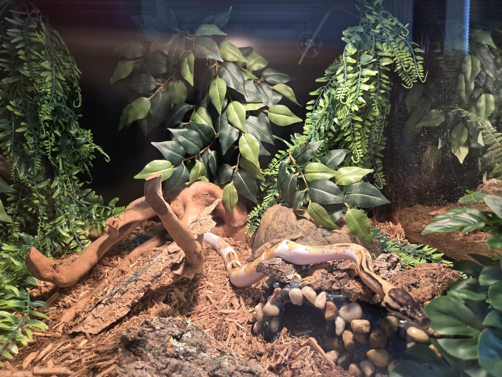 Phailozoo 50 Gallon Bearded Dragon Tank, Reptile Enclosure for Easy Maintenance, Front Opening Reptile Tank with Top Screen Ventilation & Glass Sliding Door 36''x18''x18'' customer photo 2