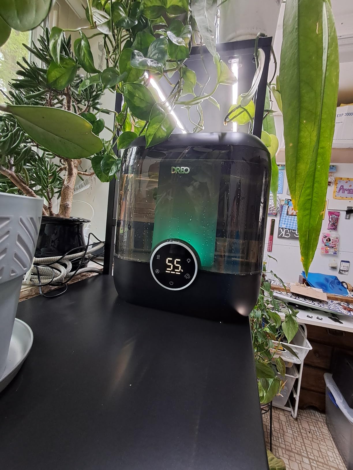 DREO Smart Humidifiers for Bedroom, 6L Top Fill Supersized Cool Mist Humidifier for Large Room, 60 Hour Runtime, Quiet Ultrasonic Humidifier for Plants, Indoor, Home, Night Light, Black customer photo 1