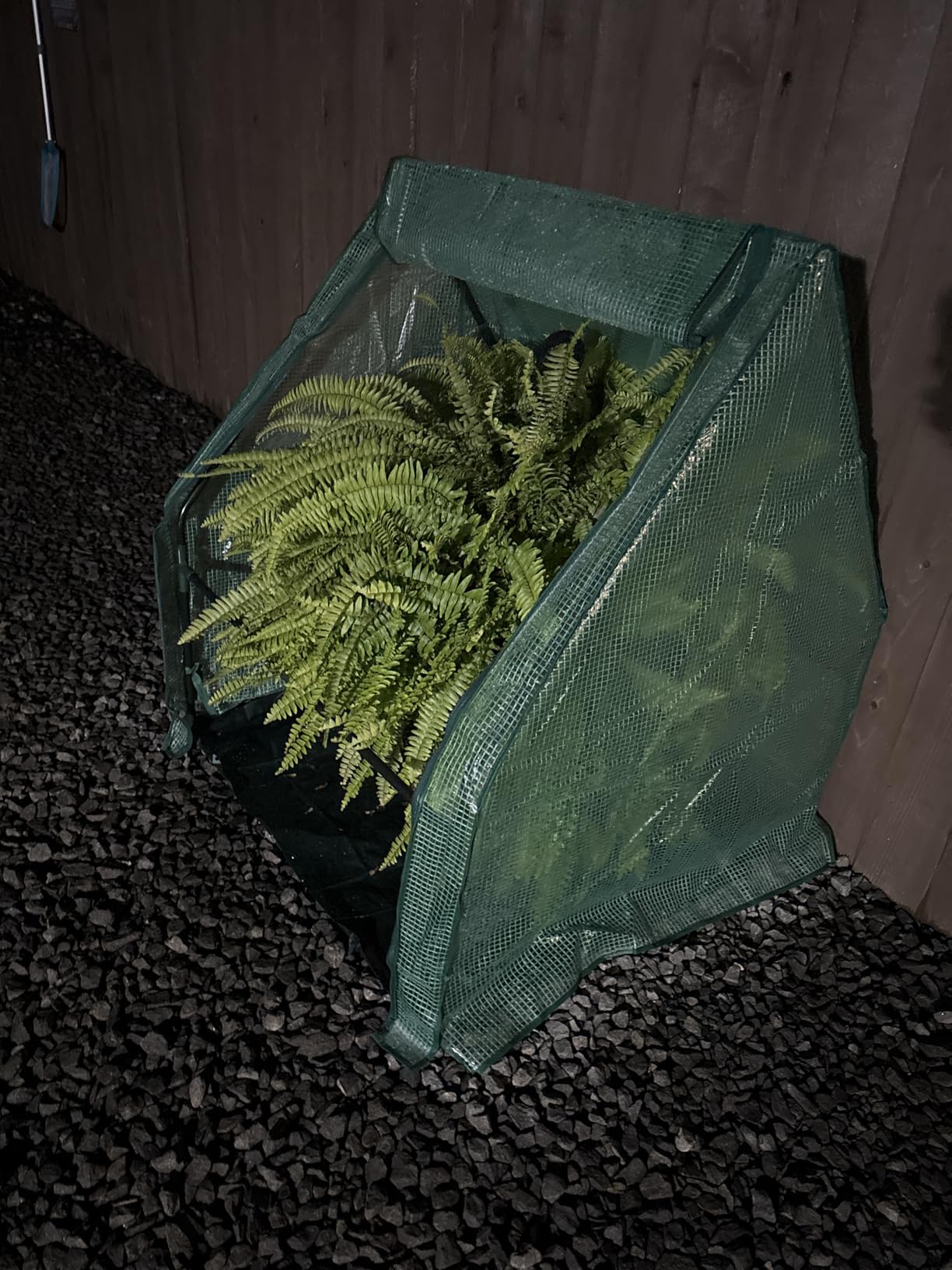 U'Artlines Portable Mini Greenhouse Small Green House with Waterproof Pad 23x13x17 Inch Plant Cover Tent for Garden Small Plants Indoor Outdoor, Green PE customer photo 1