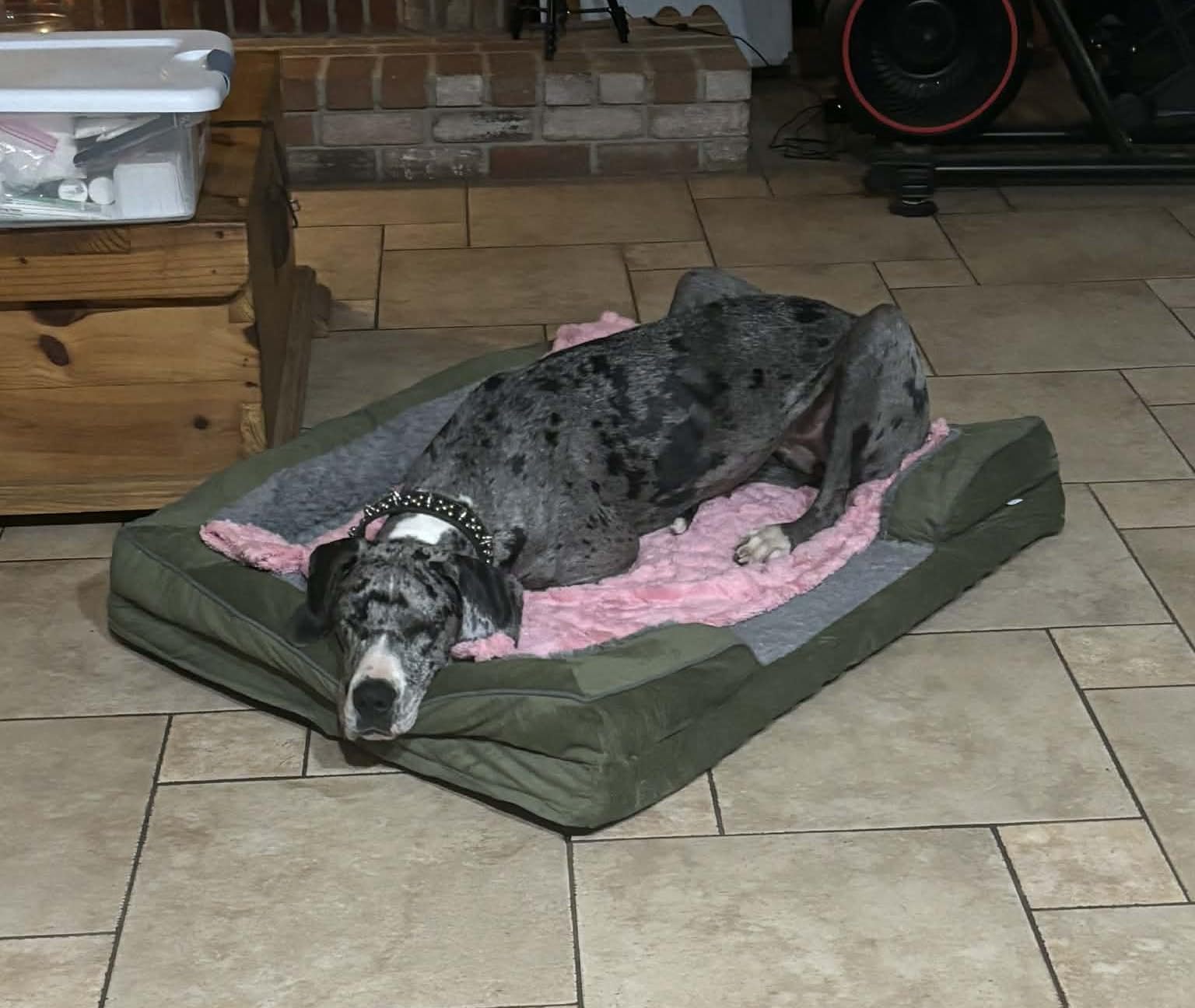 INVENHO Orthopedic Dog Beds Large Sized, XL Washable Dog Sofa with Egg-Crate Foam, Waterproof Lining and Non-Skid Bottom customer photo 1