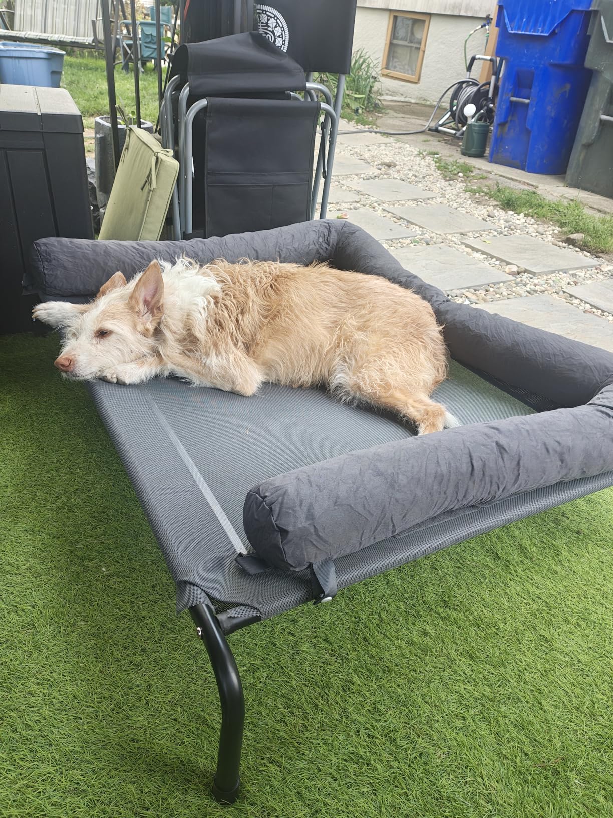 WESTERN HOME Cooling Elevated Dog Bed for Large Dogs, Portable Indoor & Outdoor Raised Dog Bed with Breathable Mesh, Chew Proof Pet Hammock Cots with Removable and Waterproof Bolsters customer photo 1