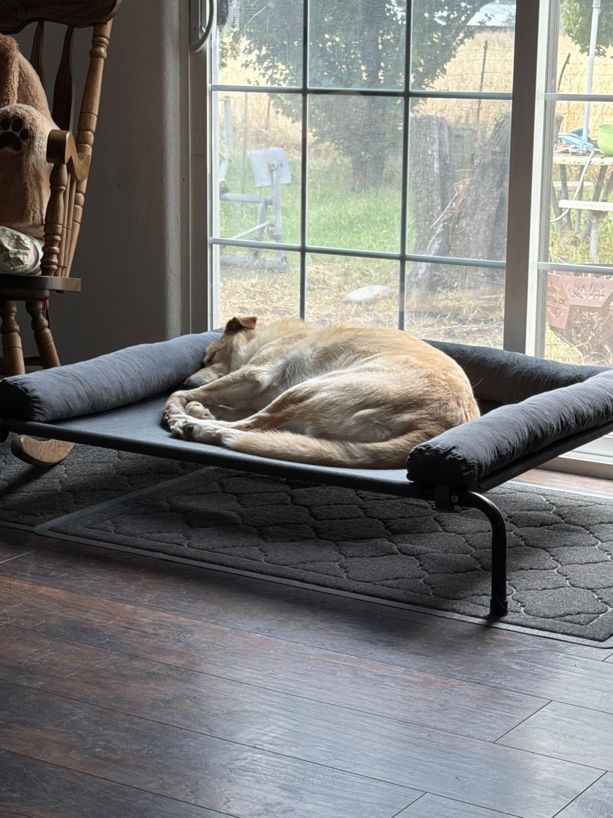 WESTERN HOME Cooling Elevated Dog Bed for Large Dogs, Portable Indoor & Outdoor Raised Dog Bed with Breathable Mesh, Chew Proof Pet Hammock Cots with Removable and Waterproof Bolsters customer photo 2