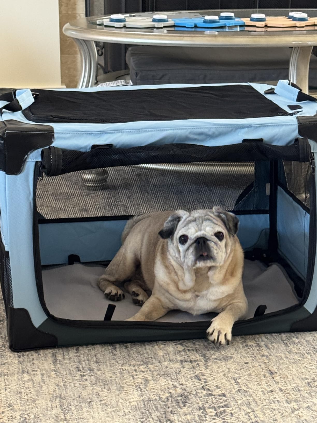 JOYTUTUS Pet Day Special, 26 Inch Collapsible Dog Crate, Steel Frame 8-Bar Foldable Soft Kennel, Portable Travel Crate for Medium Dog Up to 33lbs, Oxford Cat Carrier Fit for Car Travel Indoor Outdoor customer photo 1