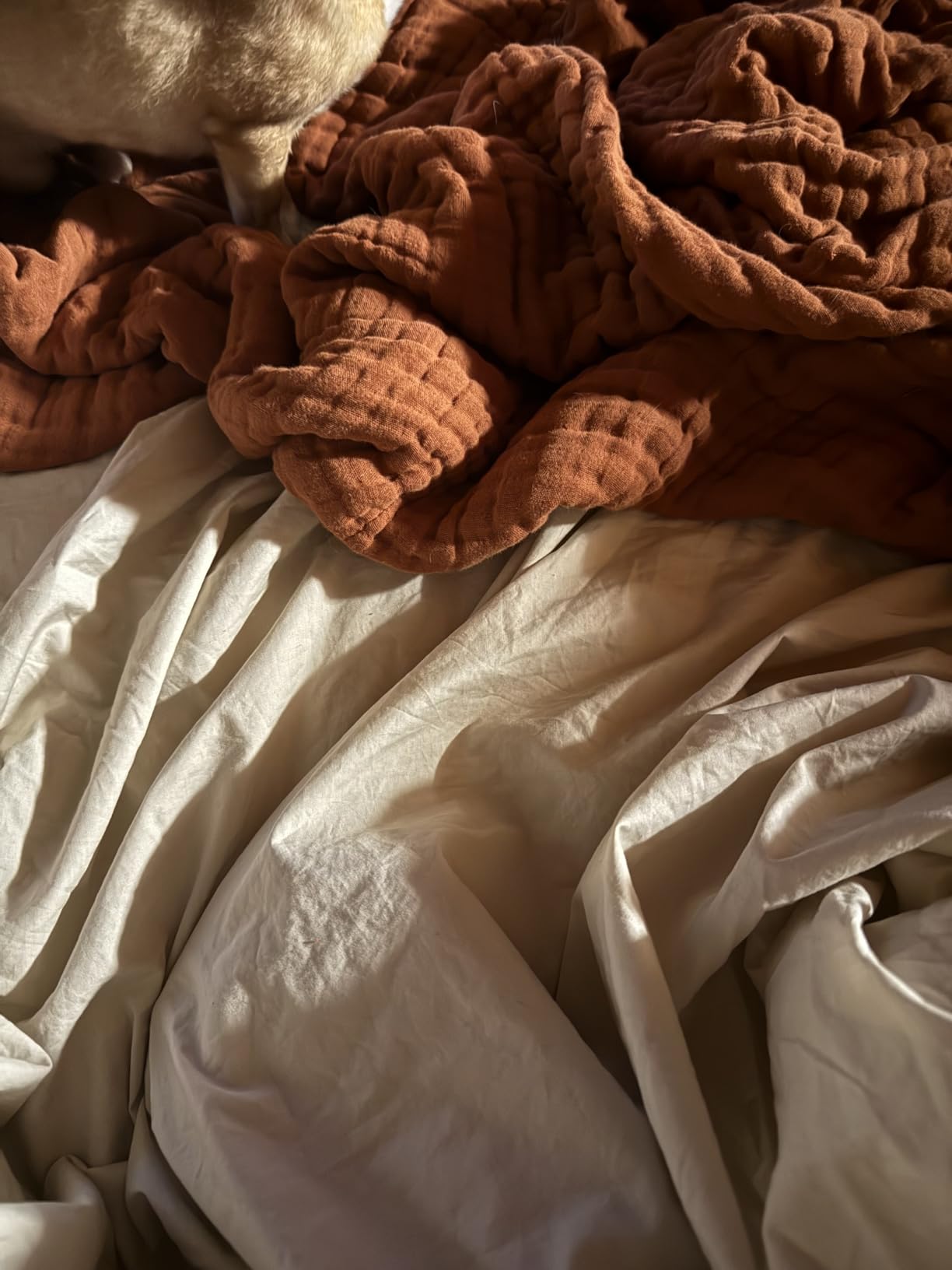 California Design Den Certified 100% Egyptian Cotton Sheets Queen Size Bed Set - Lightweight & Crisp Percale Queen Sheet Set Deep Pocket, Durable Luxury Bedding - White customer photo 1
