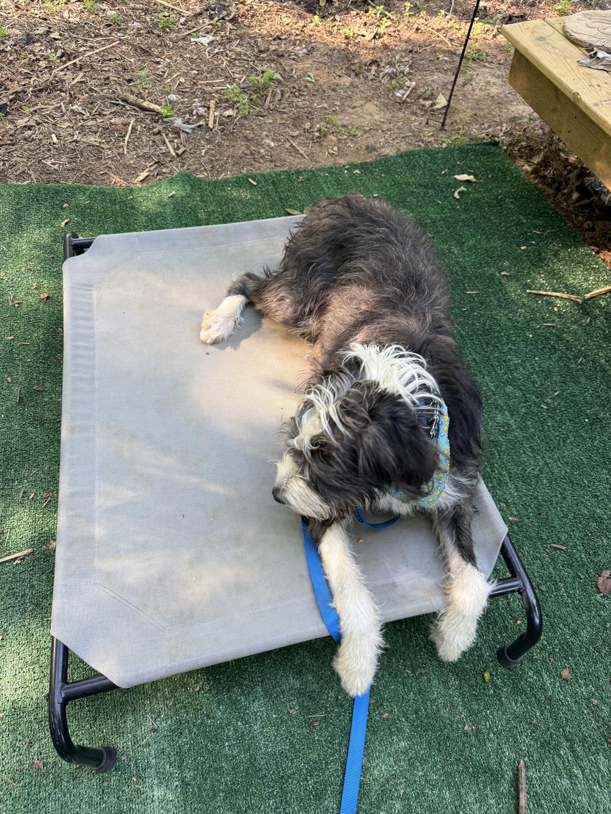Simple Trending Raised Dog Bed for Large Dogs, Waterproof XL Dog Cot, Outdoor Cooling Elevated Pet Bed Load 200lb, 47.75