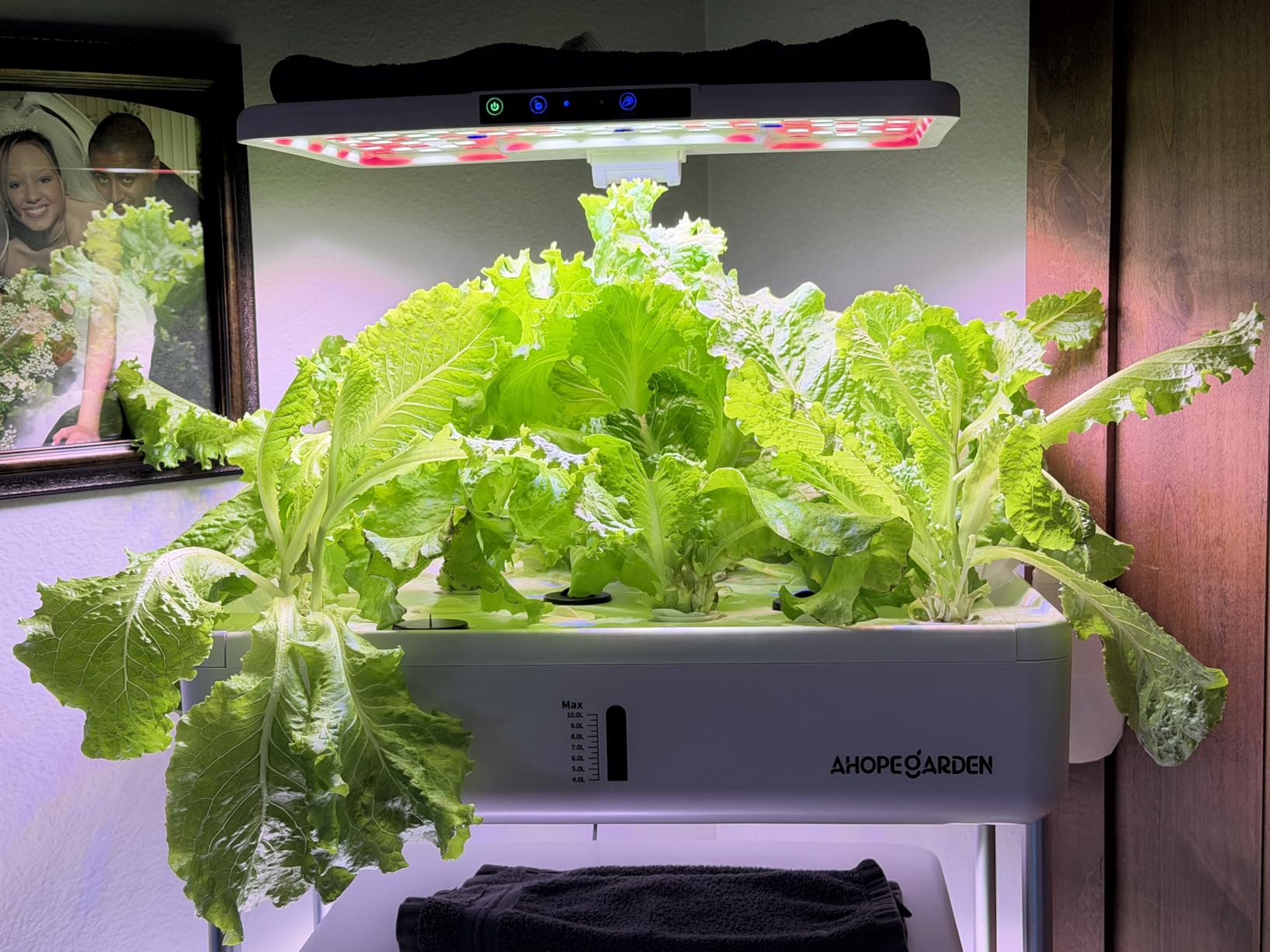 Ahopegarden Indoor Garden Hydroponics Growing System Kit: 66 Pods with LED Grow Light, 30L Large Capacity customer photo 1