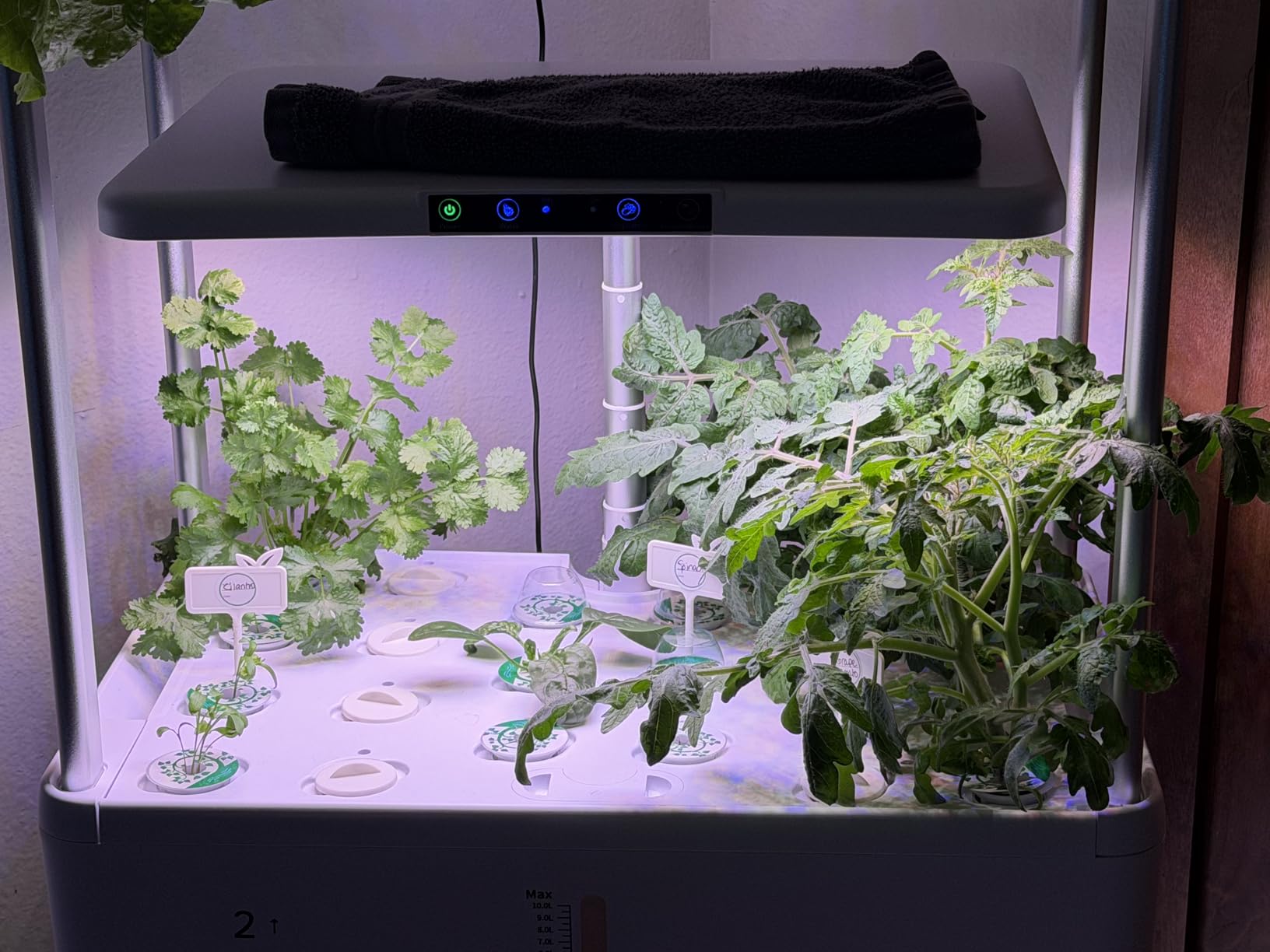 Ahopegarden Indoor Garden Hydroponics Growing System Kit: 66 Pods with LED Grow Light, 30L Large Capacity customer photo 2
