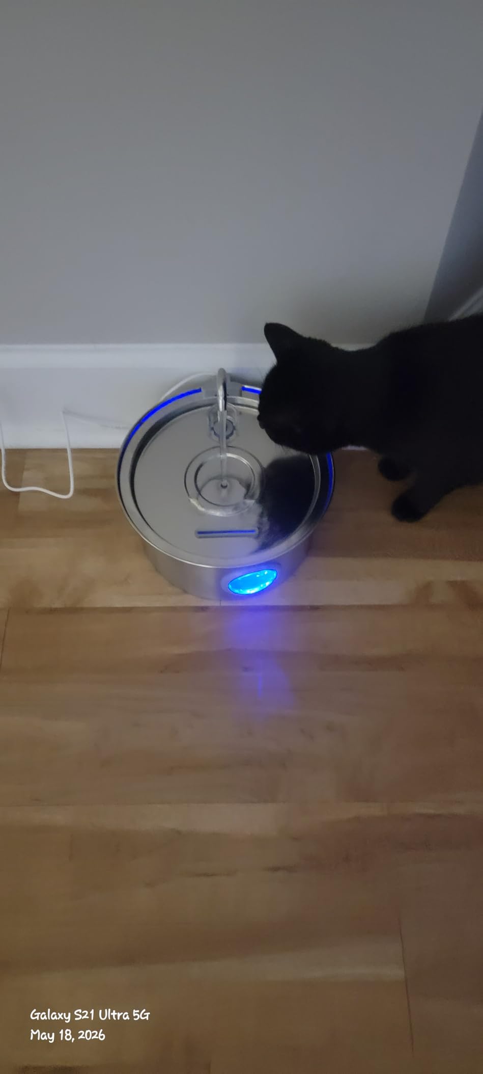 Cat Water Fountain Stainless Steel: 74oz/2.2L Cat Fountain for Drinking - Pet Water Fountain for Cats Inside - Quiet Cats Water Bowl Dispenser - Kitty Drinking Fountains - for Pets & Small Animals customer photo 1