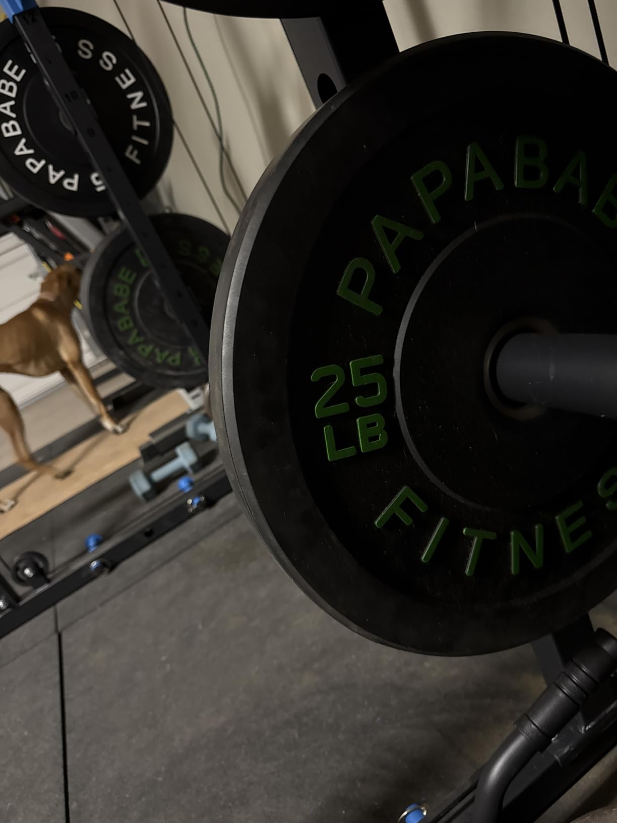 Papababe Weight Plates, 2-Inch Weights Plates Set, Floor Protective Rubber Weight Plates, Bumper Plates for Barbell Strength Training & Weightlifting customer photo 1
