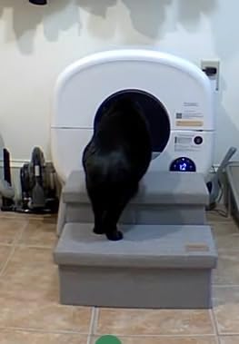 Cumrige Self Cleaning Litter Box, Large Capacity Automatic Cat Litter Box Self Cleaning for Cats, App Control, Safety Protection, 2 Roll Garbage Bags, White & Grey customer photo 1