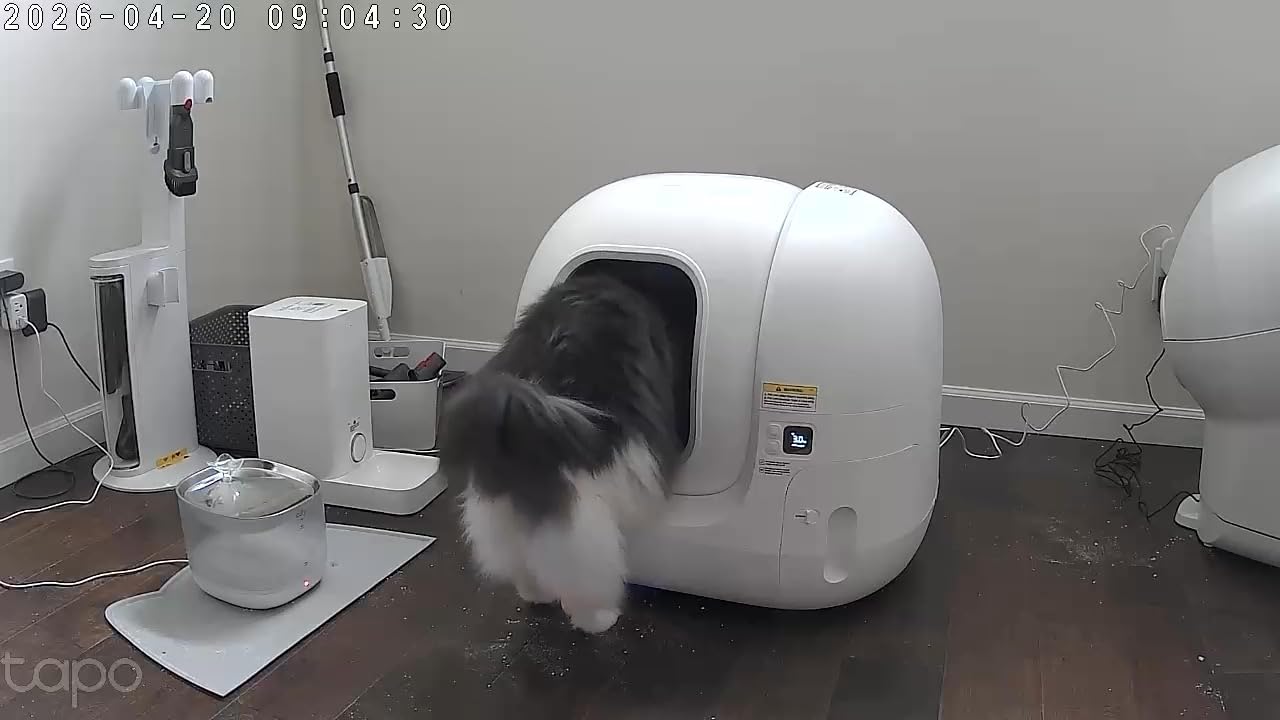 PETKIT PuraMax 2 Automatic Self-Cleaning Cat Litter Box, App Control Automatic Litter Box with Safety Sensors, Odor Free and Anti-Leakage Basic Bundle Includes Trash Bags, 2.4G WiFi and Low Entrance customer photo 1