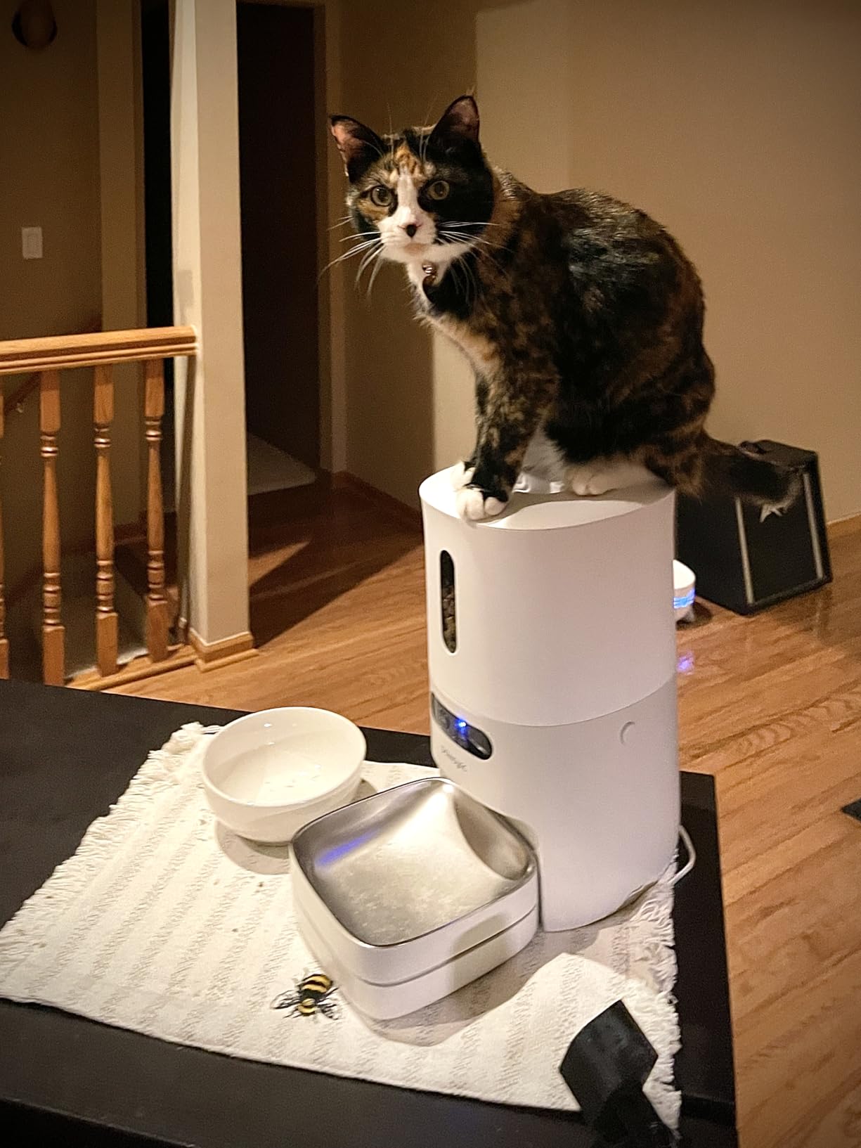 Pawsync Automatic Cat Feeder, WiFi Smart Scale Tracks Pet's Food Intake, App Control, 3.6L Timed Food Dispenser for Cats and Dogs, Up to 10 Meals Per Day, Stainless Steel Bowl, Dual Power Supply customer photo 1