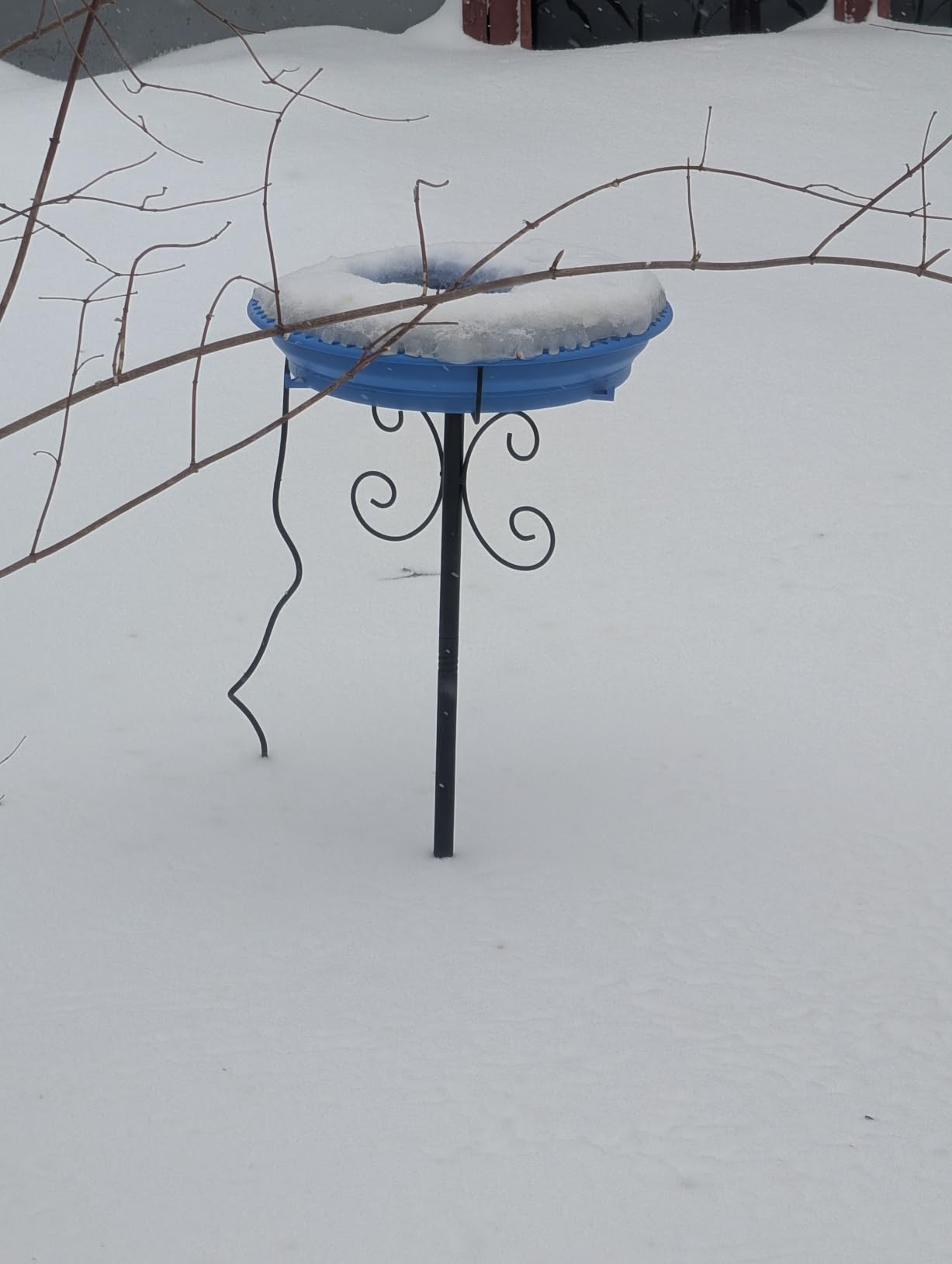 Daoeny Heated Bird Bath for Winter, Upgraded 100W Heated Bird Baths for Outdoors Thermostat Control with 5-Prong Metal Base, Heated Bird Bath for Outside Winter Garden Patio Yard Lawn (Blue) customer photo 2