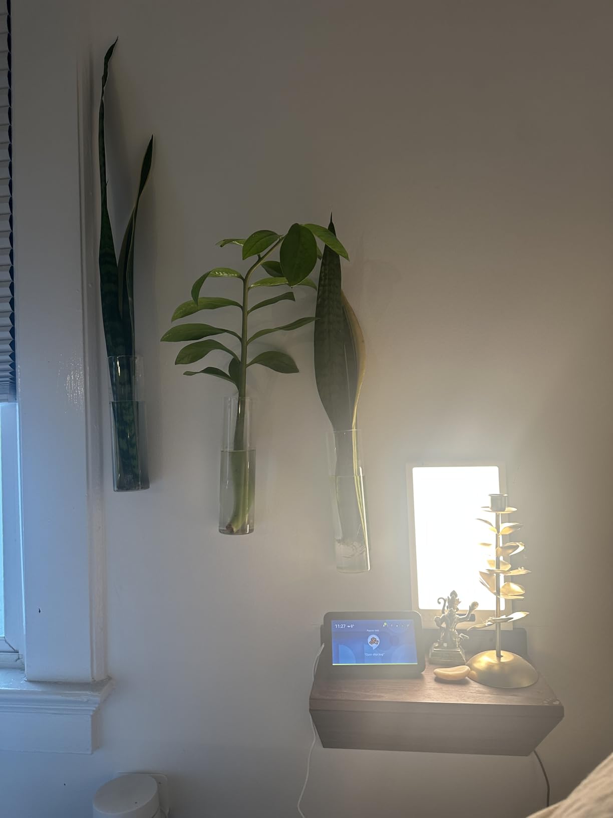 Light Therapy Sunrise Wake-up lamp APP Control Light Alarm Clock UV-Free 3 Color 12000lux Full Spectrum Sun lamp Restorative Strength, Focusing Attention customer photo 2