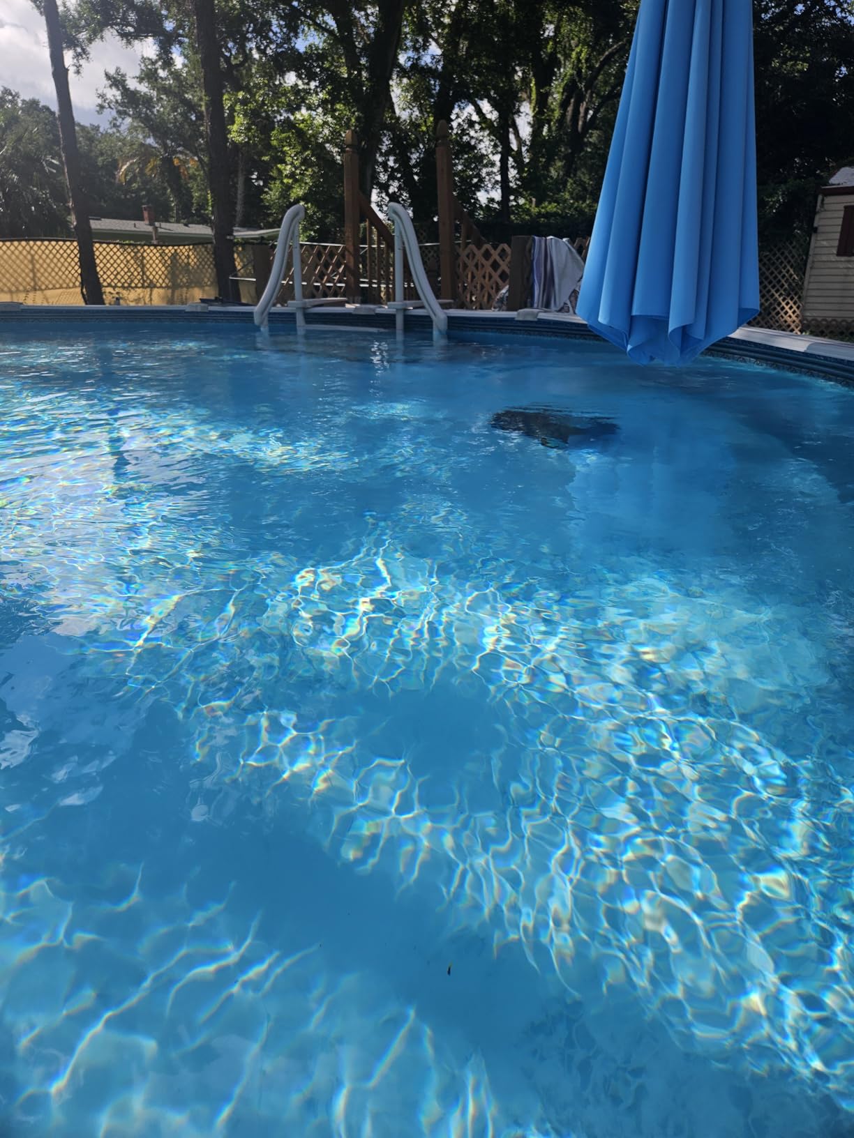 AIPER Seagull SE 2025 Cordless Robotic Pool Cleaner with LED Indicator, 1200GPH Strong Suction, Lasts 90 Mins Runtime, Ideal for Above-Ground Pool up to 40 Feet, Grey customer photo 2