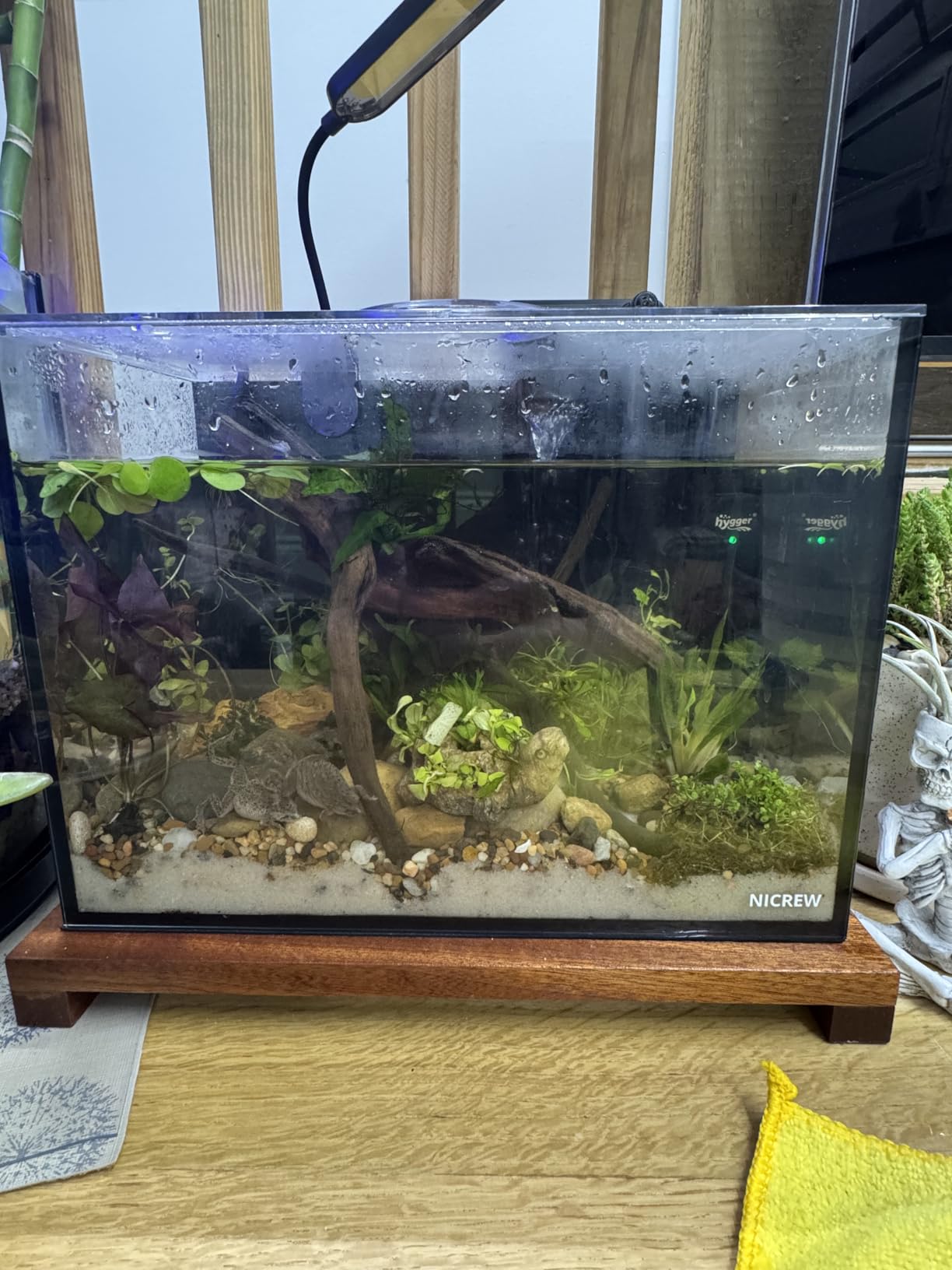 NICREW 2.5 Gallon Nano Nature Aquarium Kit, Ultra-Clear Rimless Desktop Fish Tank with Light, Filter, Gravel and Rock customer photo 2