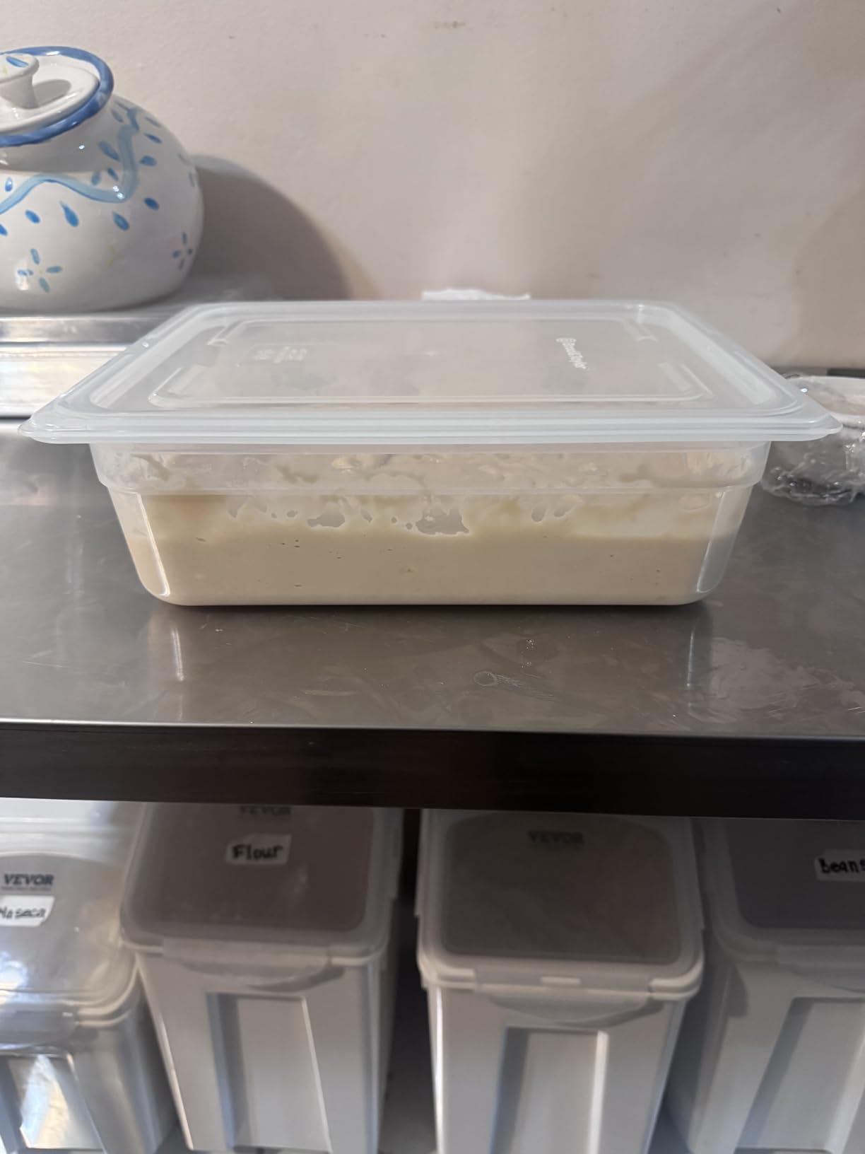 Brod & Taylor Proofing Container With 6L Capacity, Fits Up to 3000 Grams of Dough - Dough Rising Box for Bread, Sourdough & Pizza (Dishwasher Safe, BPA-Free) customer photo 1