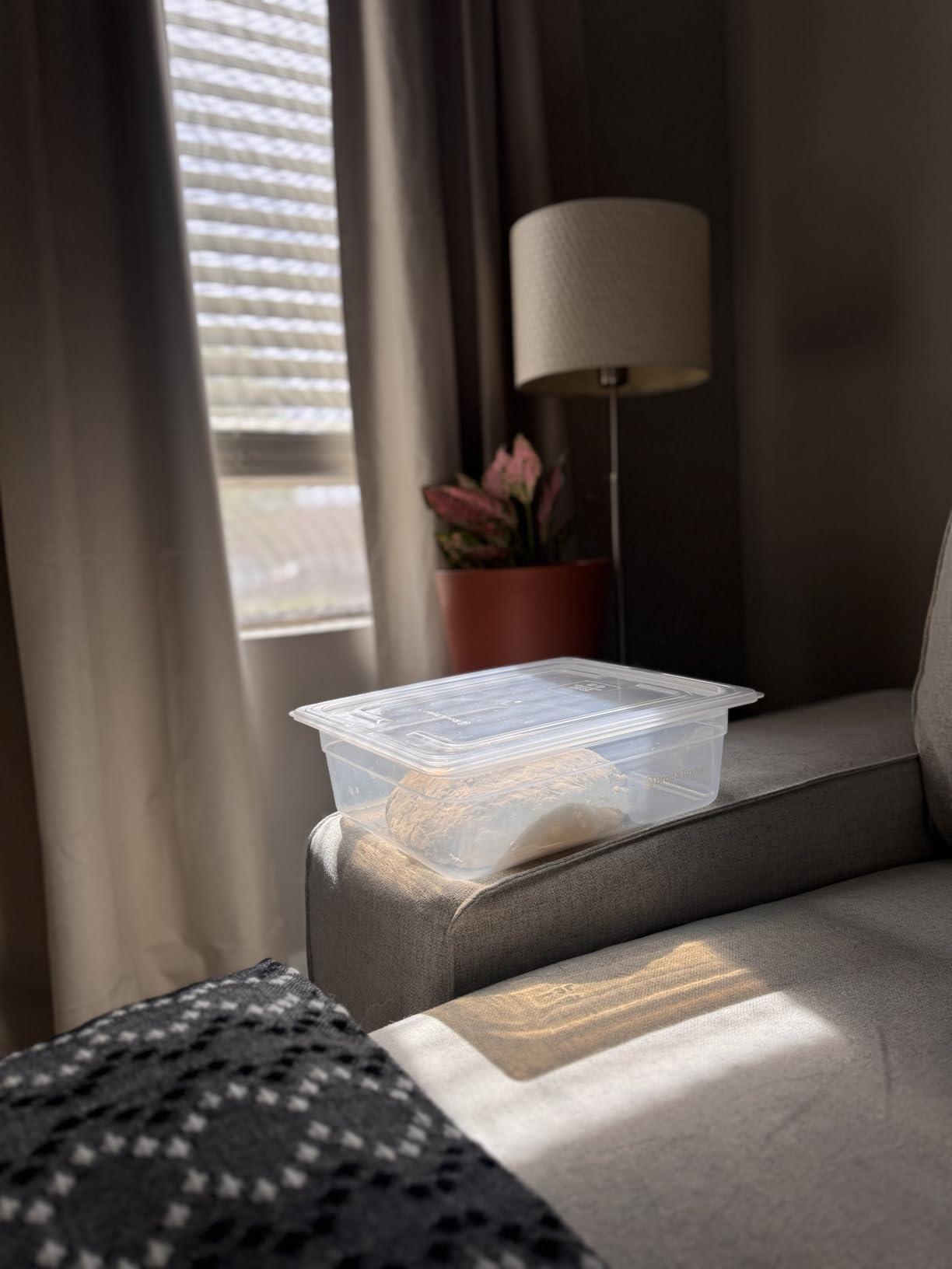 Brod & Taylor Proofing Container With 6L Capacity, Fits Up to 3000 Grams of Dough - Dough Rising Box for Bread, Sourdough & Pizza (Dishwasher Safe, BPA-Free) customer photo 2