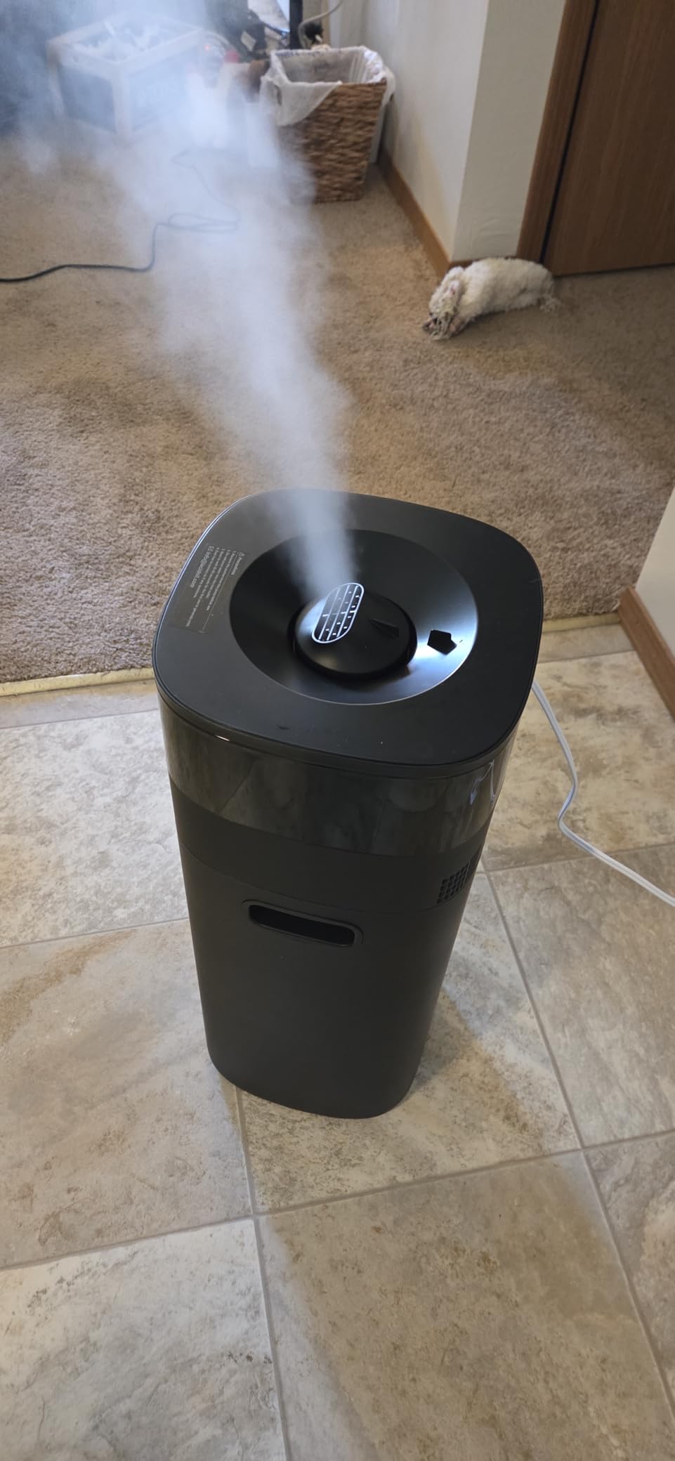 Lacidoll Humidifier Large Room, 5.3Gal/20L Humidifiers for Home 2500 sq ft, Cool Mist Whole House Humidifiers with Diffuser Extended Tube, Top Fill Air Humidifier for Bedroom Nursery Baby Plants Black customer photo 1