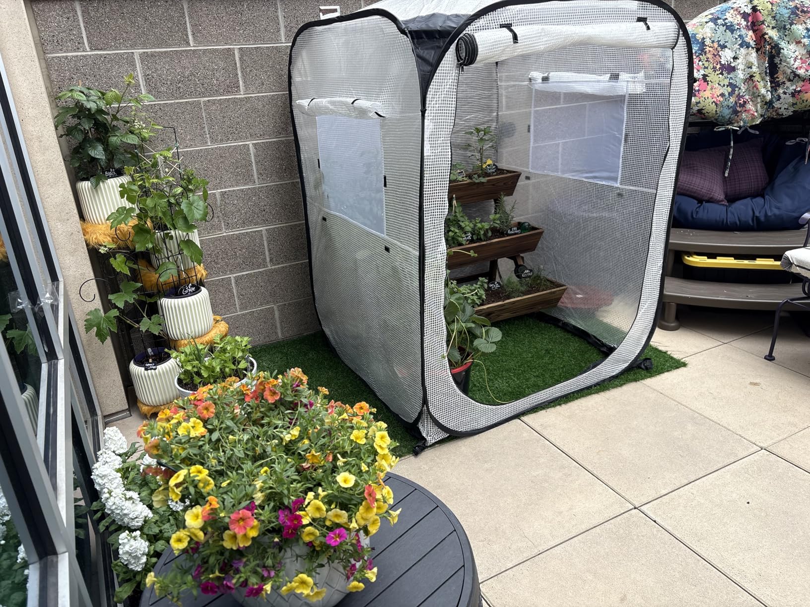 Ohuhu Pop Up Greenhouse for Outdoors, Portable Walk-in Mini Green House with Removable PE Mat & Mesh Window Fast Set-up GreenHouses for Indoor Outside Protecting Plant from Cold Frost & Birds customer photo 1