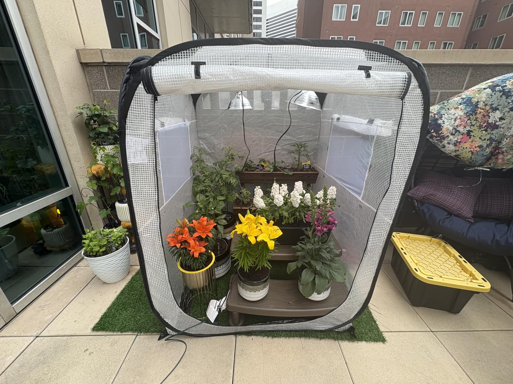 Ohuhu Pop Up Greenhouse for Outdoors, Portable Walk-in Mini Green House with Removable PE Mat & Mesh Window Fast Set-up GreenHouses for Indoor Outside Protecting Plant from Cold Frost & Birds customer photo 2