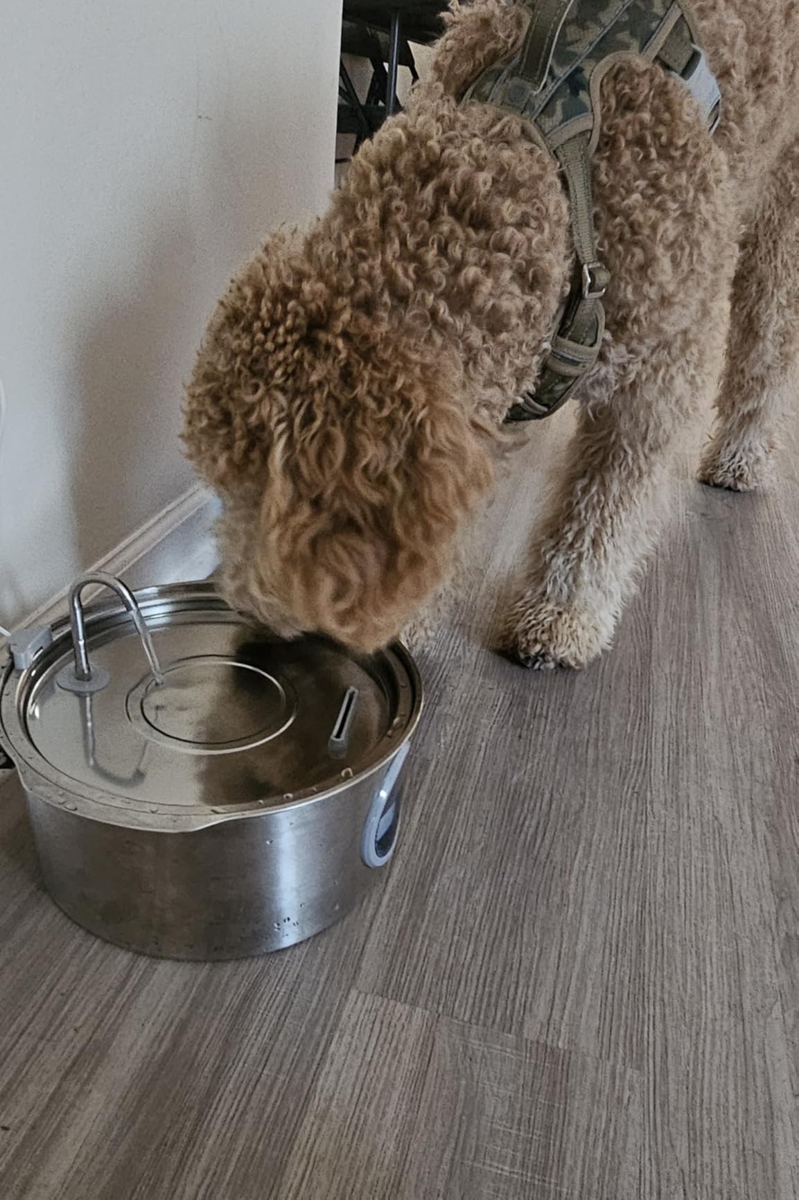 Dog Water Fountain for Large Dogs: 7L/236oz/1.8G Dog Fountain Stainless Steel - Big Cat Drinking Fountain Indoor - Super Quiet Water Fountain for Dogs Inside - for Large Dog Cats & Multi-Pet Home customer photo 1