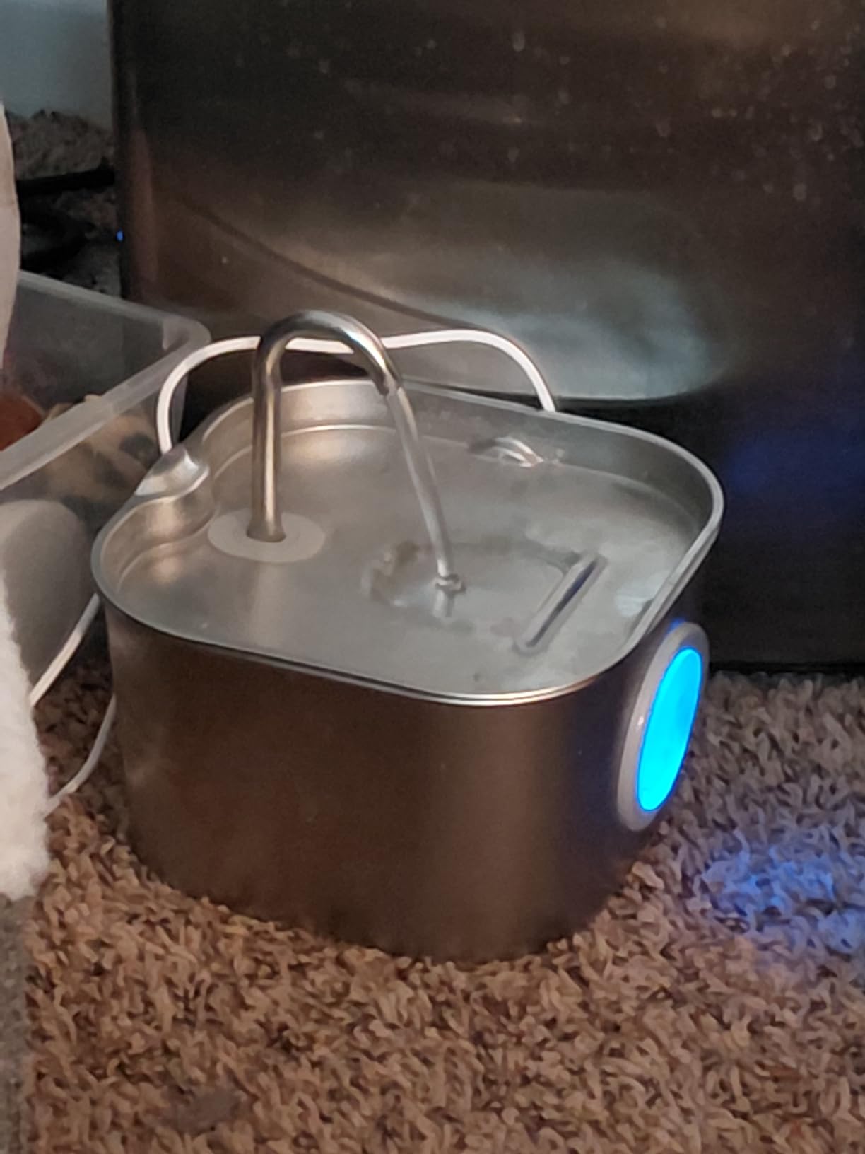 Cat Water Fountain Stainless Steel: Pet Fountains for Cats/Dog Indoor Automatic Waterer Bowls for Drinking Small Animal Water Dispenser Metal Pets Watering Faucet Bottle Auto Kitty Watering Supplies customer photo 1