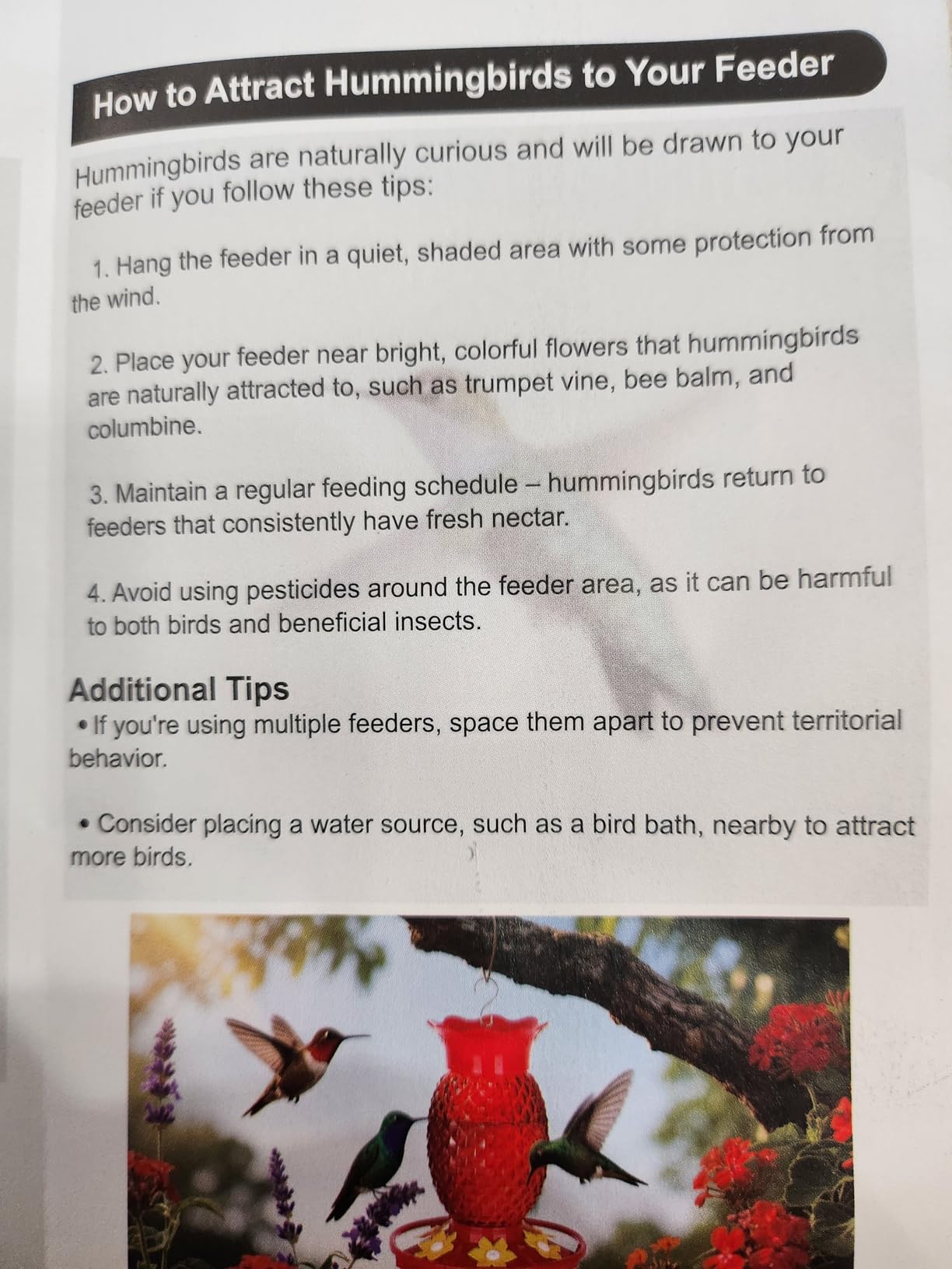 Fchstaer Glass Hummingbird Feeders for Outdoors Hanging 16oz 2 Pack Red Pineapple Bee and Ant Proof 360 Degree Perch Leakproof Easy Clean with 6 Feeding Ports Gifts for Mom customer photo 1