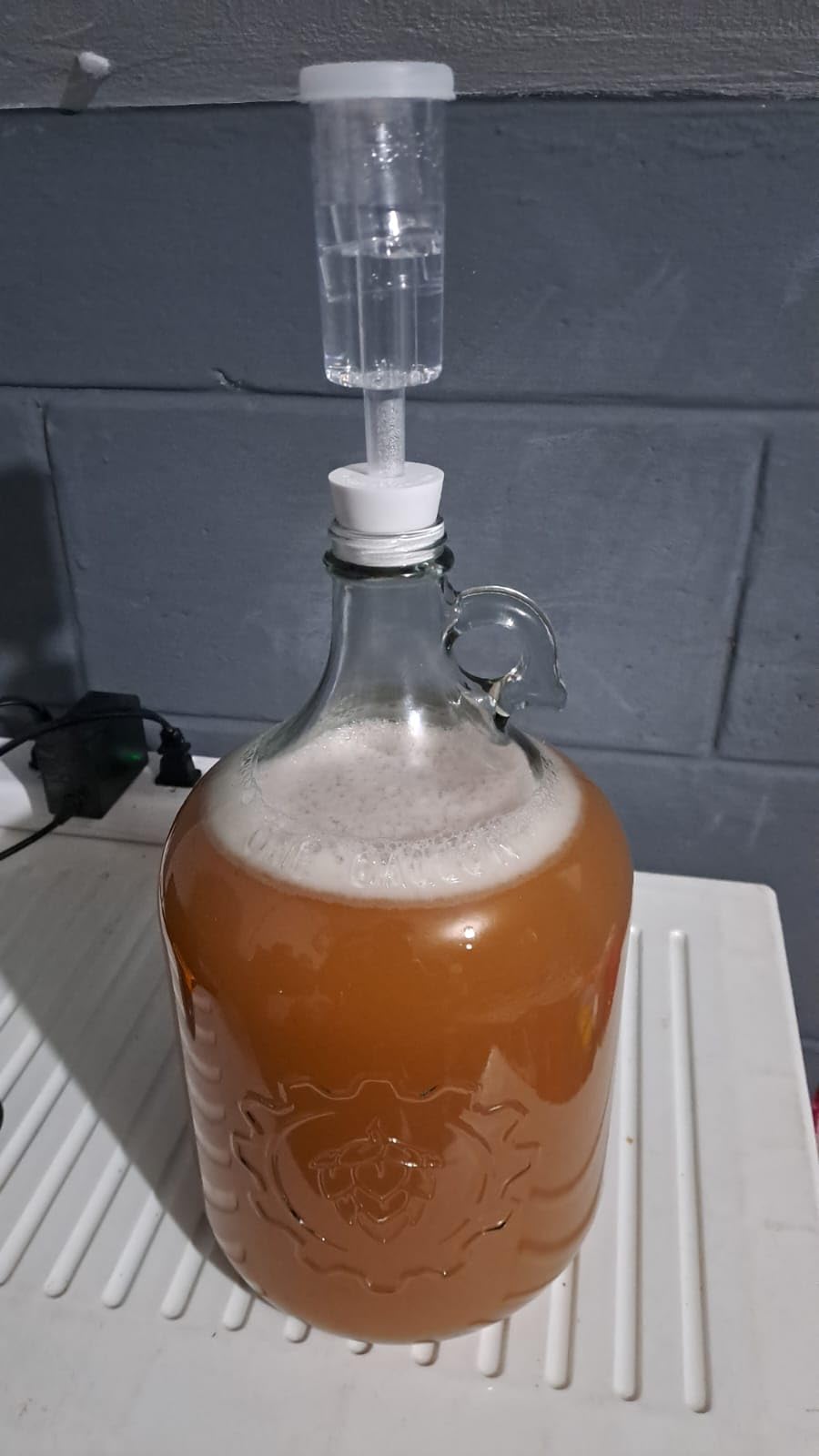 Craft A Brew - Juice Box - A Fruit Wine Making Kit - Easy for Beginners - At Home Wine Making Kit - Includes Ingredients & Reusable Equipment - Use Any Fruit Juice or Lemonade - Makes 1-Gal Batch customer photo 1