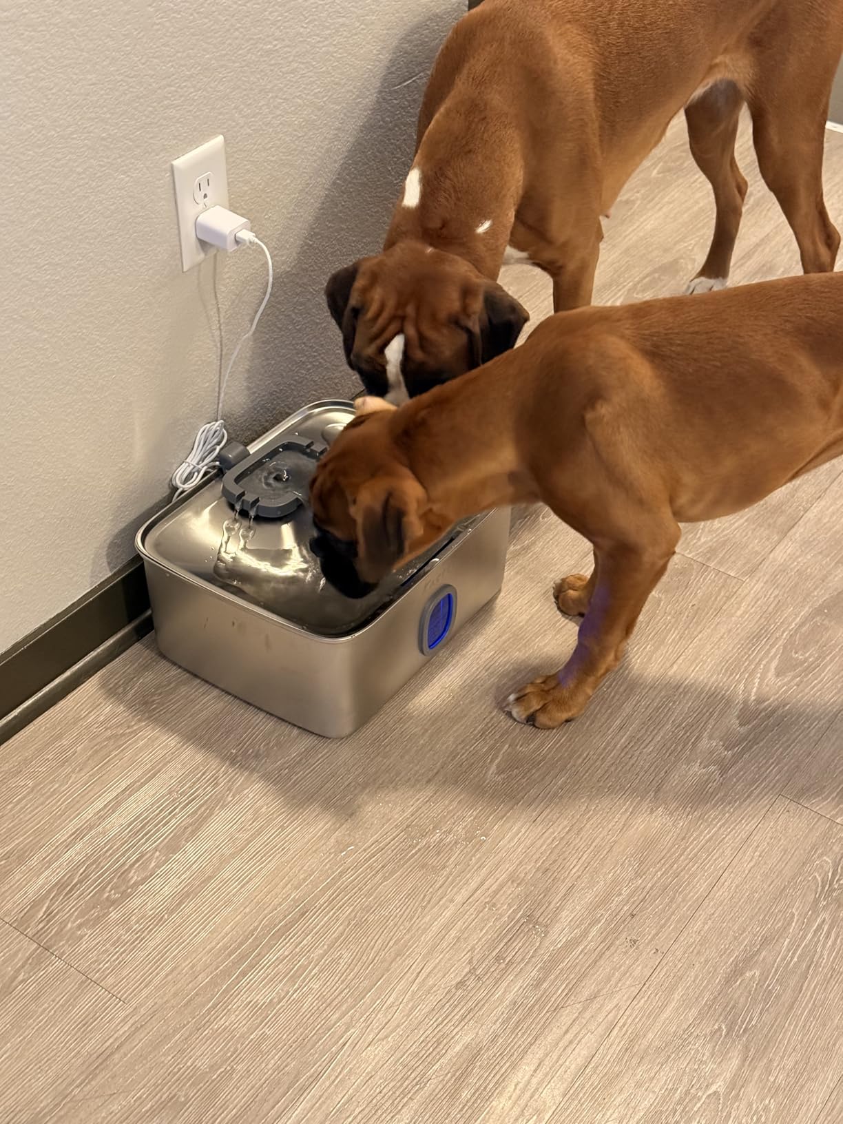 Kastty 4 Gal Dog Water Fountain for Large Dogs, 15L Stainless Stainless Steel Dog Water Bowl Dispenser Triple Filtration, Ultra Quiet Automatic Pet Water Fountain with Water Level Window and LED Light (FS76) customer photo 1