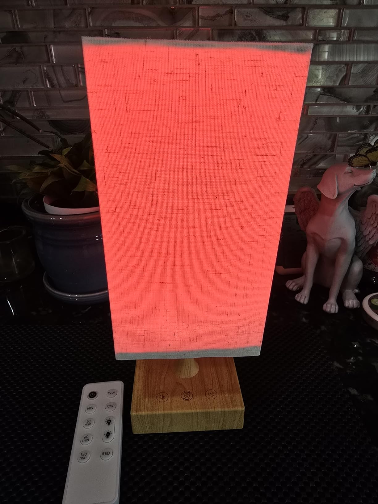Red Light Night Light Lamp for Sleep, 670nm Red Nightlight Desk Lamp for Bedroom with Multi-Color and Brightness Options Remote Control USB Charging Elegant Design customer photo 2