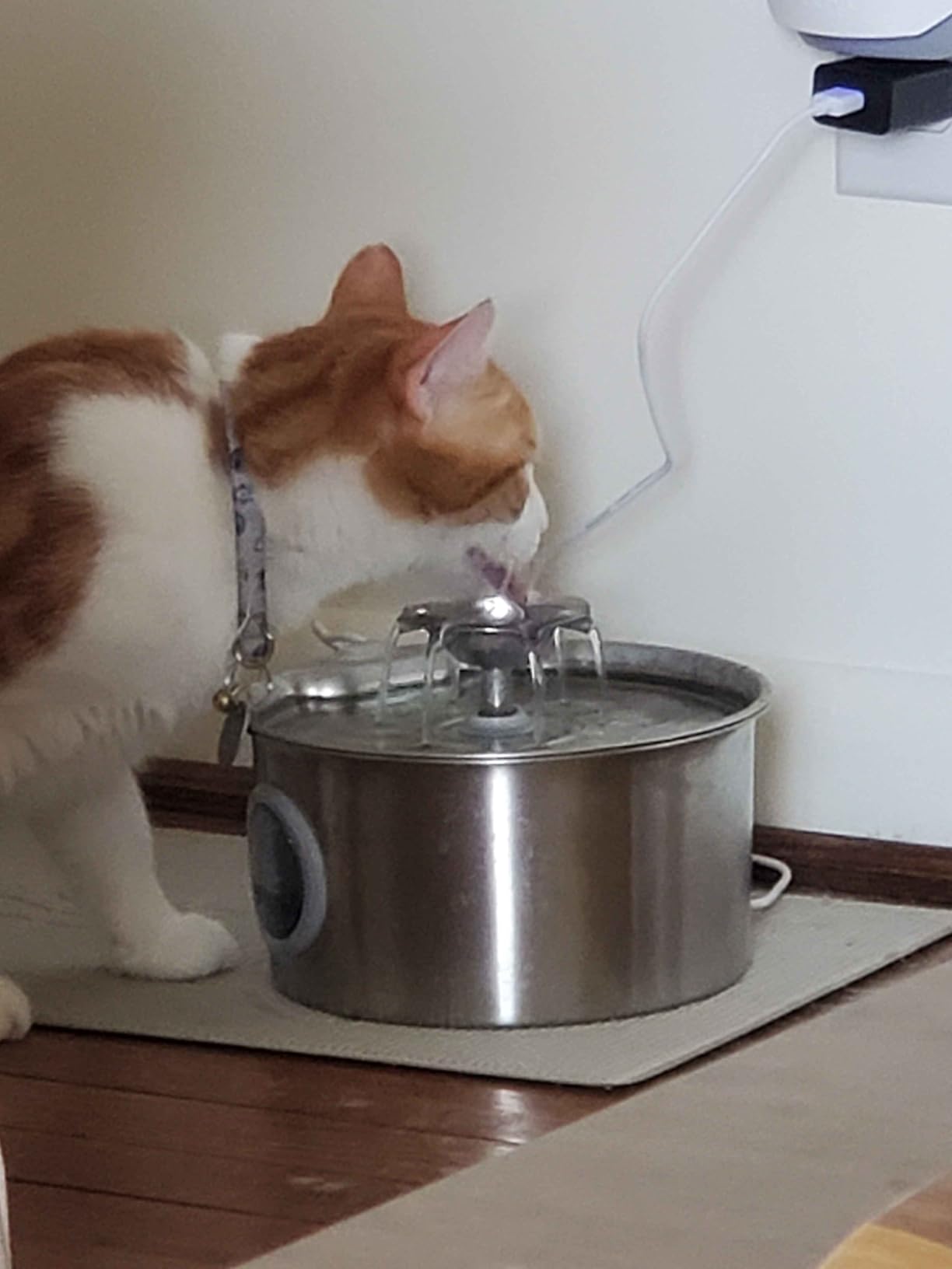 Stainless Steel Cat Water Fountain: 88oz/2.6L Ultra Quiet Pet Fountain with Flower Kitty Spout & LED Blue Light Water Dispenser with Water Level Window for Cats/Dogs Indoor (Silver) - IHOUONE customer photo 1