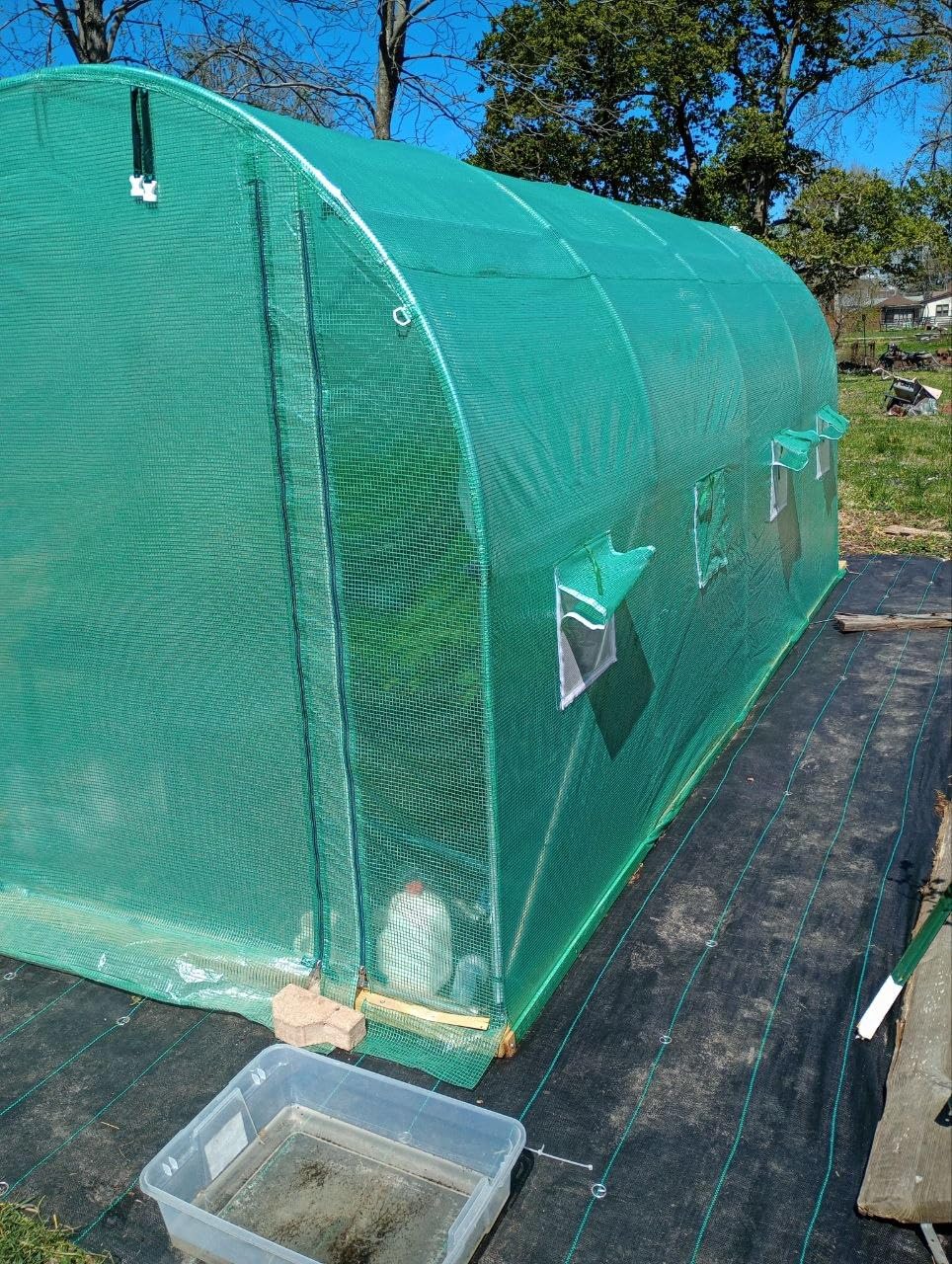 KING BIRD Premium 20x10x6.6FT Greenhouse for Outdoors, Large Walk-in Upgraded Galvanized Metal Frame, Mesh Door Screen Window Improved Zipper Tunnel Hoop for Garden Plant Winter, 2 Stiffeners, White customer photo 1