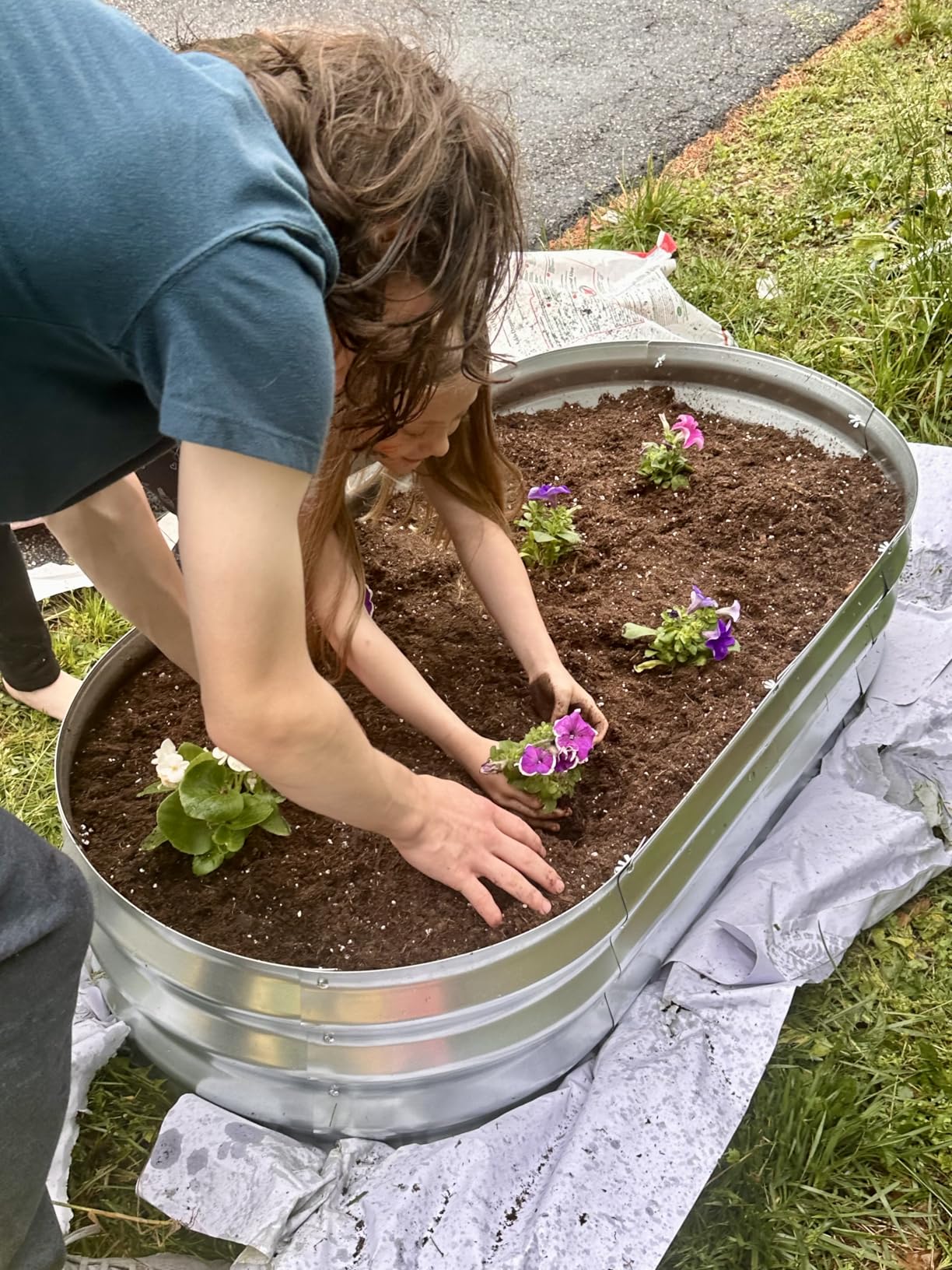 Galvanized Raised Garden Bed Kit, Planter Garden Boxes Outdoor, Oval Large Metal for Vegetables Fruits, Flowers Planter Boxes, Easy Assembly Garden Bed Kit (Silver, 4×2×1FT (2-Pack) customer photo 2