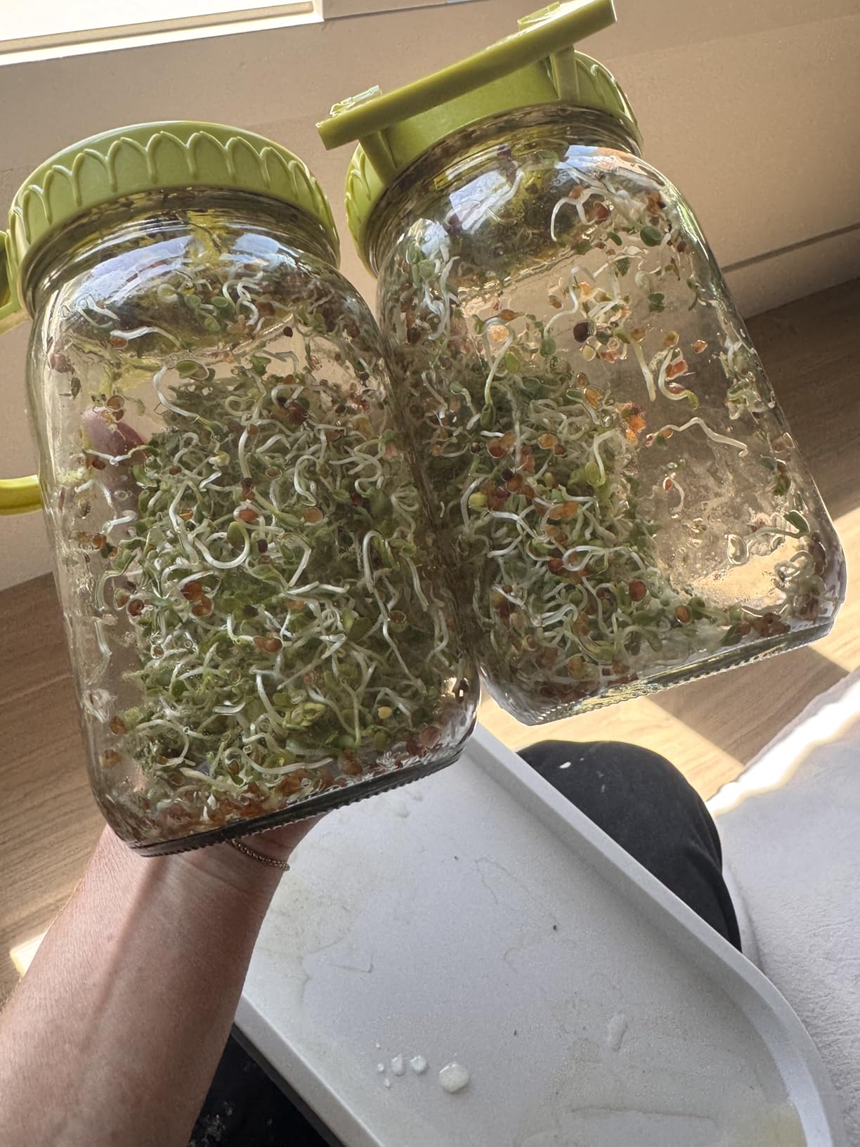 Happyiren Sprouting Kit for Wide Mouth Mason Jars, 2-Pack BPA-Free One-Piece Sprouting Lids with Built-In Stand, Seed Germination Jar Sprouter Lid, Fits Wide Mouth Jars (3.38