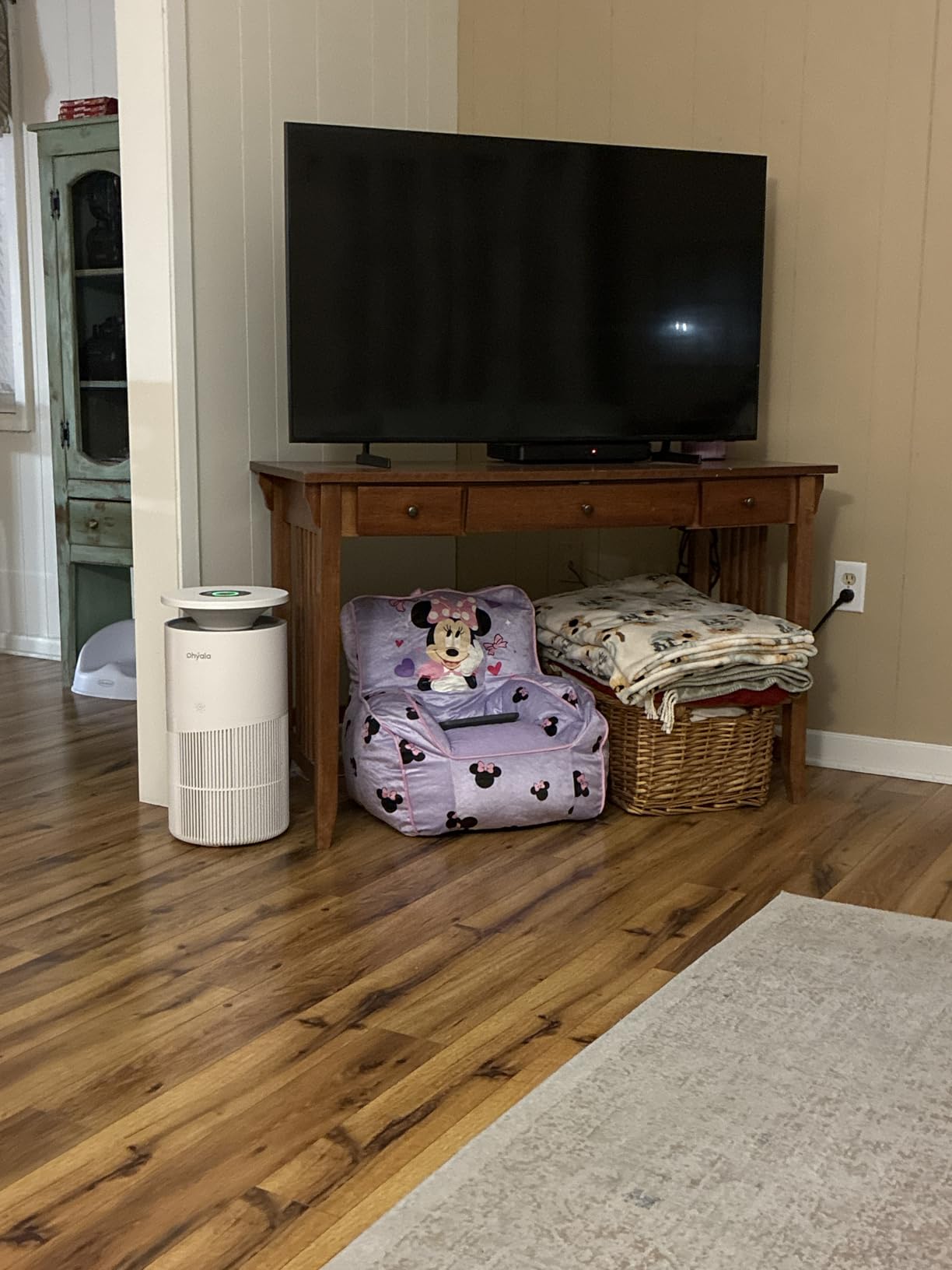 Air Purifier for Home Large Room up to 3620Ft², H13 True HEPA Air Purifiers for Home Pet Hair Dander Odor Pollen, Air Cleaner with Smart WiFi, 360° Air Intake, Auto Mode, Pet Lock, 22dB Quiet customer photo 1