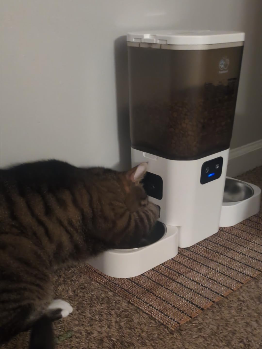 Frienhund Automatic Cat Feeder with Two 1080P Camera for 2 Cats: 7L Automatic Dog Feeder with Night Vision & Slow Feed, 5G WiFi Auto Cat Food Dispenser for Multiple Pet,Detachable for Clean(ACF180W-C) customer photo 1