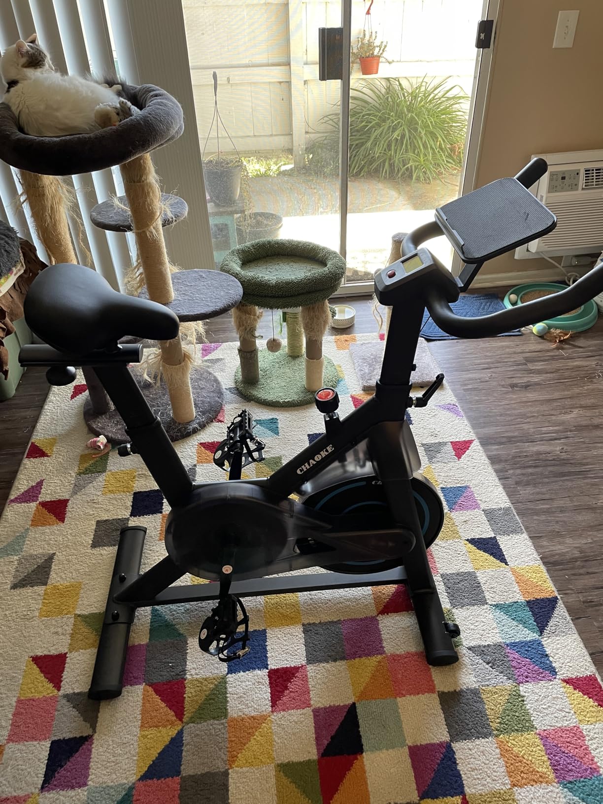 Exercise Bike, CHAOKE Quiet Adjustable Magnetic Resistance Stationary Bike for Home Cardio with App Compatible, 350LB Weight Capacity customer photo 1