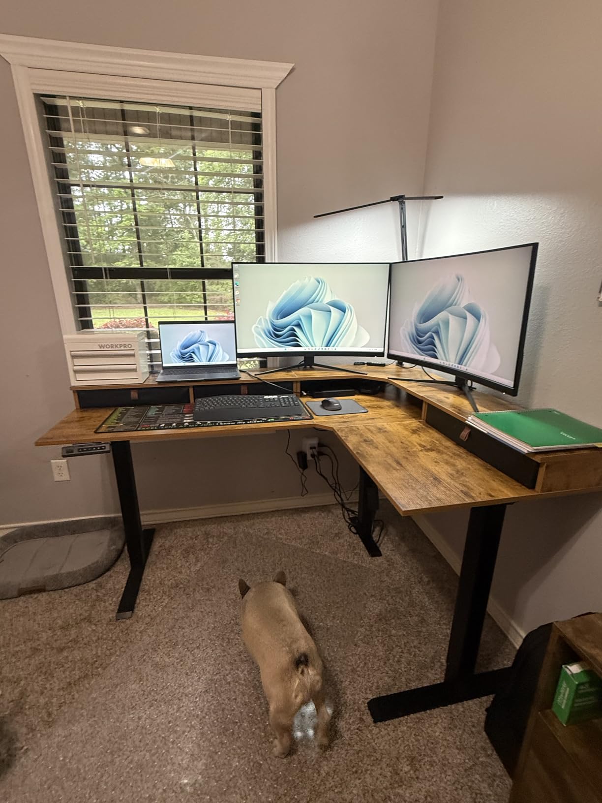 FEZIBO L Shaped Electric Standing Desk, 63x48 inch Large with Drawers, Reversible Tabletop, 2 Memory Height Settings, Home Office & Gaming Height-Adjustable Table, Black Walnut (2 Packages) customer photo 1