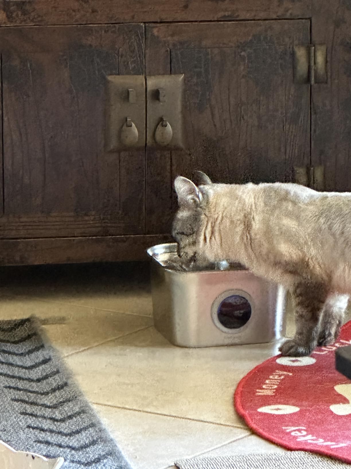 Stainless Steel Cat Water Fountain, 2.8L with 20dB Ultra-Quiet Pump - Ideal for Timid Pets, LED Water Level Window, Dishwasher Safe, 24/7 Circulation - Includes 3 Replacement Filters customer photo 2