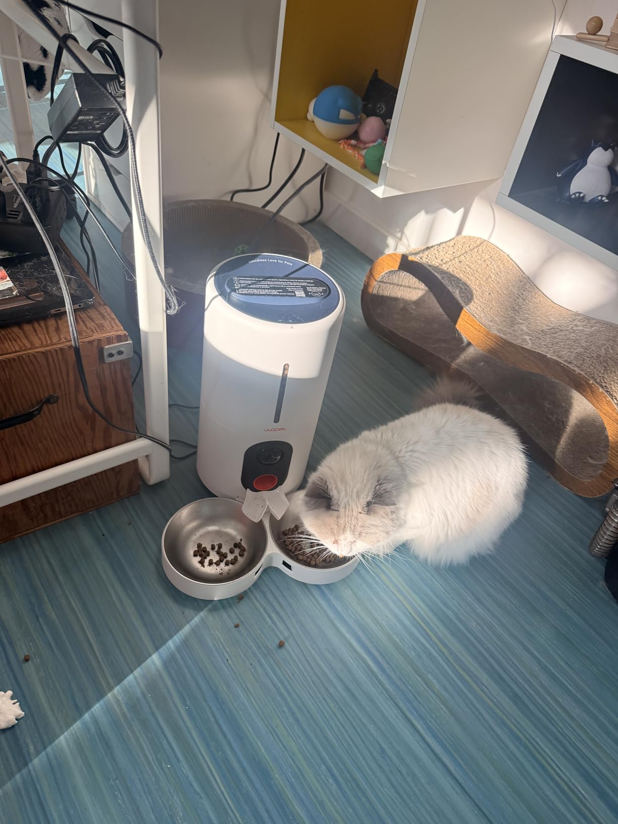 WOPET Automatic Cat Feeder with Camera for Two Cats, 6L Automatic Dog Feeder with HD Video and Night Vision, 5G/2.4G WiFi Pet Feeder for Cats & Dogs, SD Card Storage & 2-Way Audio customer photo 1