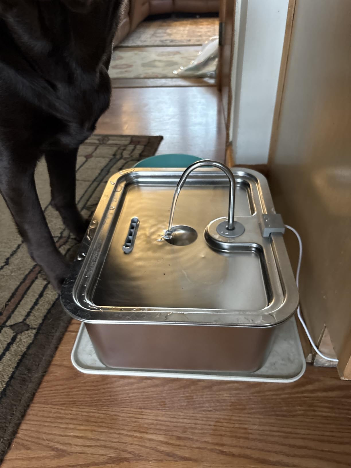 4.2Gal Dog Water Fountain for Large Dogs, 16L Stainless Steel Large Dog Fountain Water Bowl with Deeper & Wider Drinking Tray, Automatic Pet Water Dispenser with Visible Window for Multi-Pets Families customer photo 2
